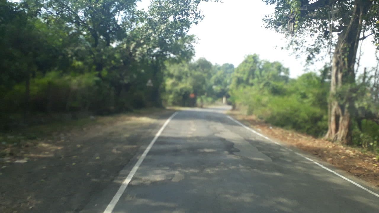 Street view near Bar Shiv Cottages, Revadanda — © maiti21 (CC BY-SA · Mapillary)