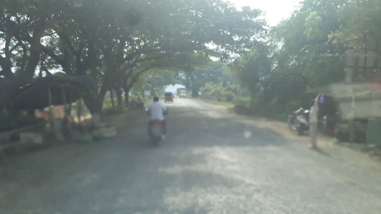 Street view near La Mer Beach Resort, Revadanda — © maiti21 (CC BY-SA · Mapillary)
