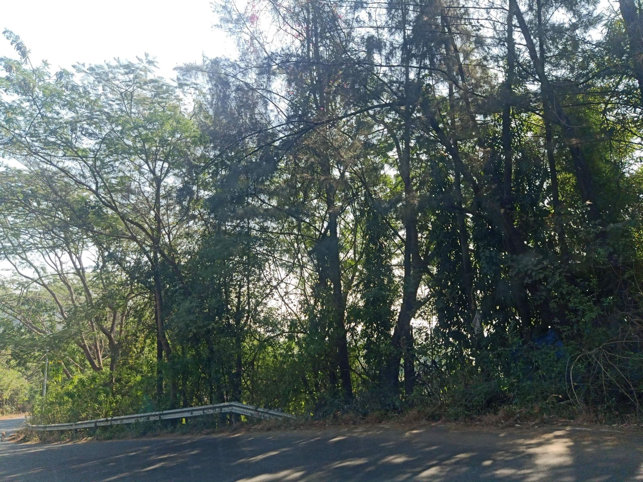 Street view near Kino lakeside chalet, Maval — © nileshjagtap (CC BY-SA · Mapillary)