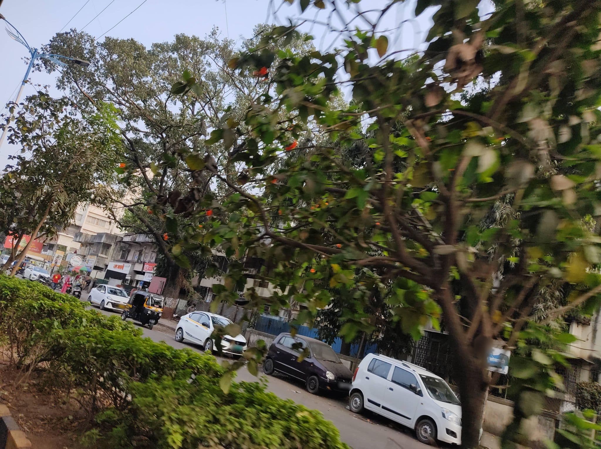 Street view near Shraddha Lodge, Pune — © Vivek_Mudada__07 (CC BY-SA · Mapillary)