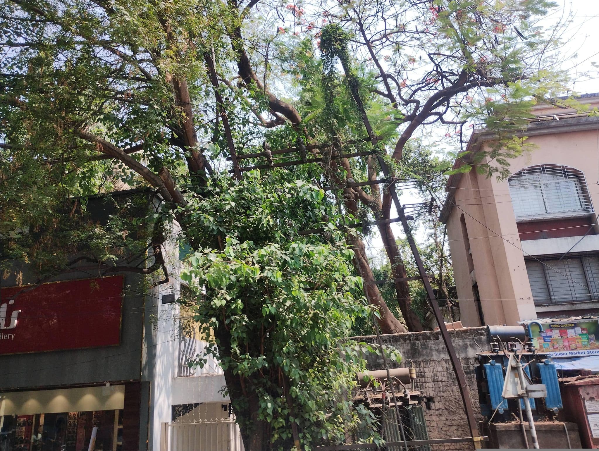Street view near NPC Serviced Apartment,Sharad Vaibhav Model Colony, Shivaji Nagar — © dipakgirase01 (CC BY-SA · Mapillary)