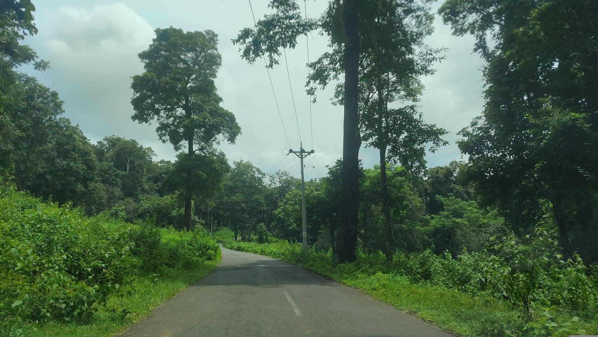 Street view near Pugmark Resort, Panamaram — © vipindas3927 (CC BY-SA · Mapillary)