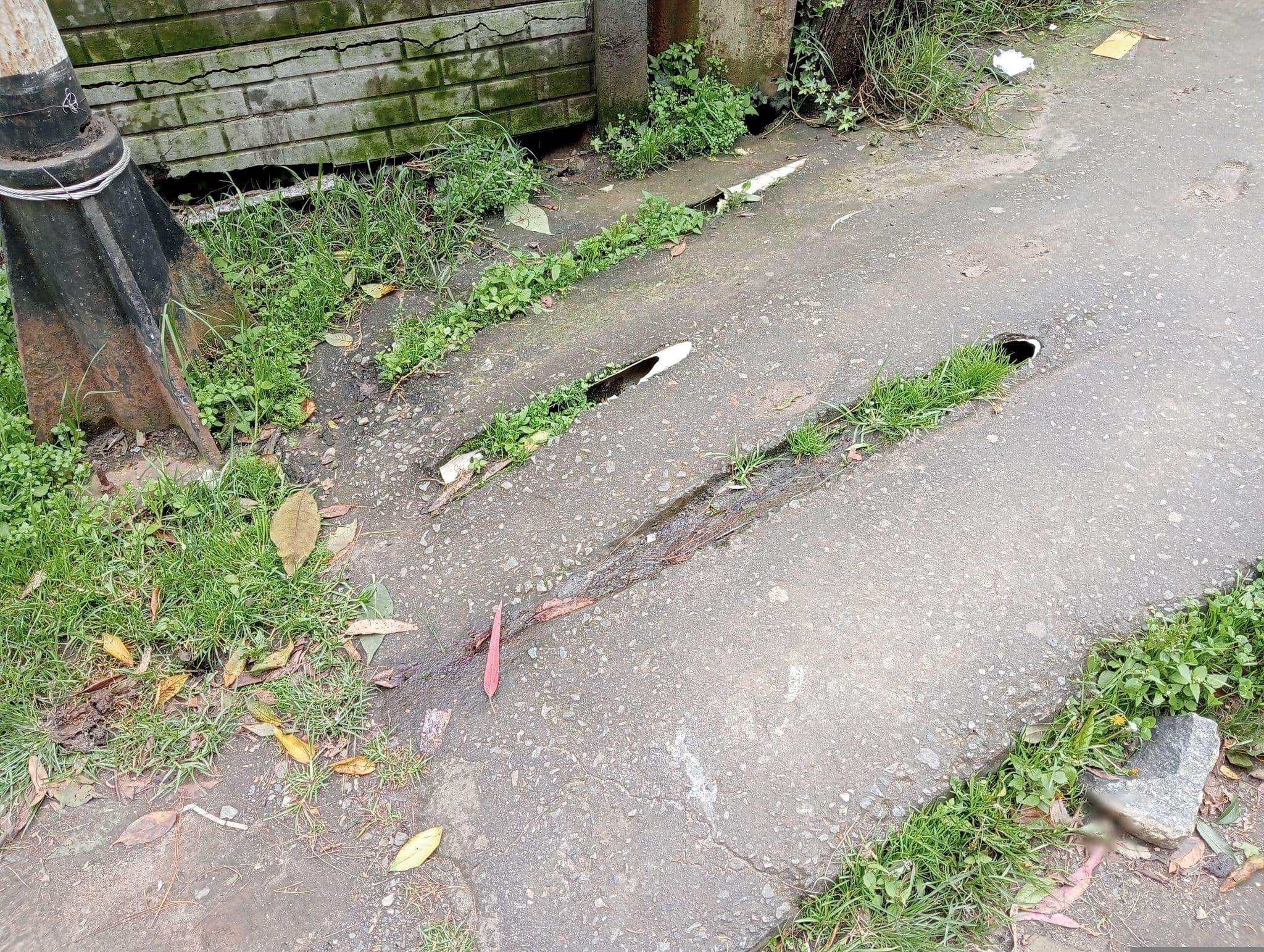 Street view near Capital O 13231 Hotel Sapphire Garden View, Ooty — © shalubanna1902-_ (CC BY-SA · Mapillary)