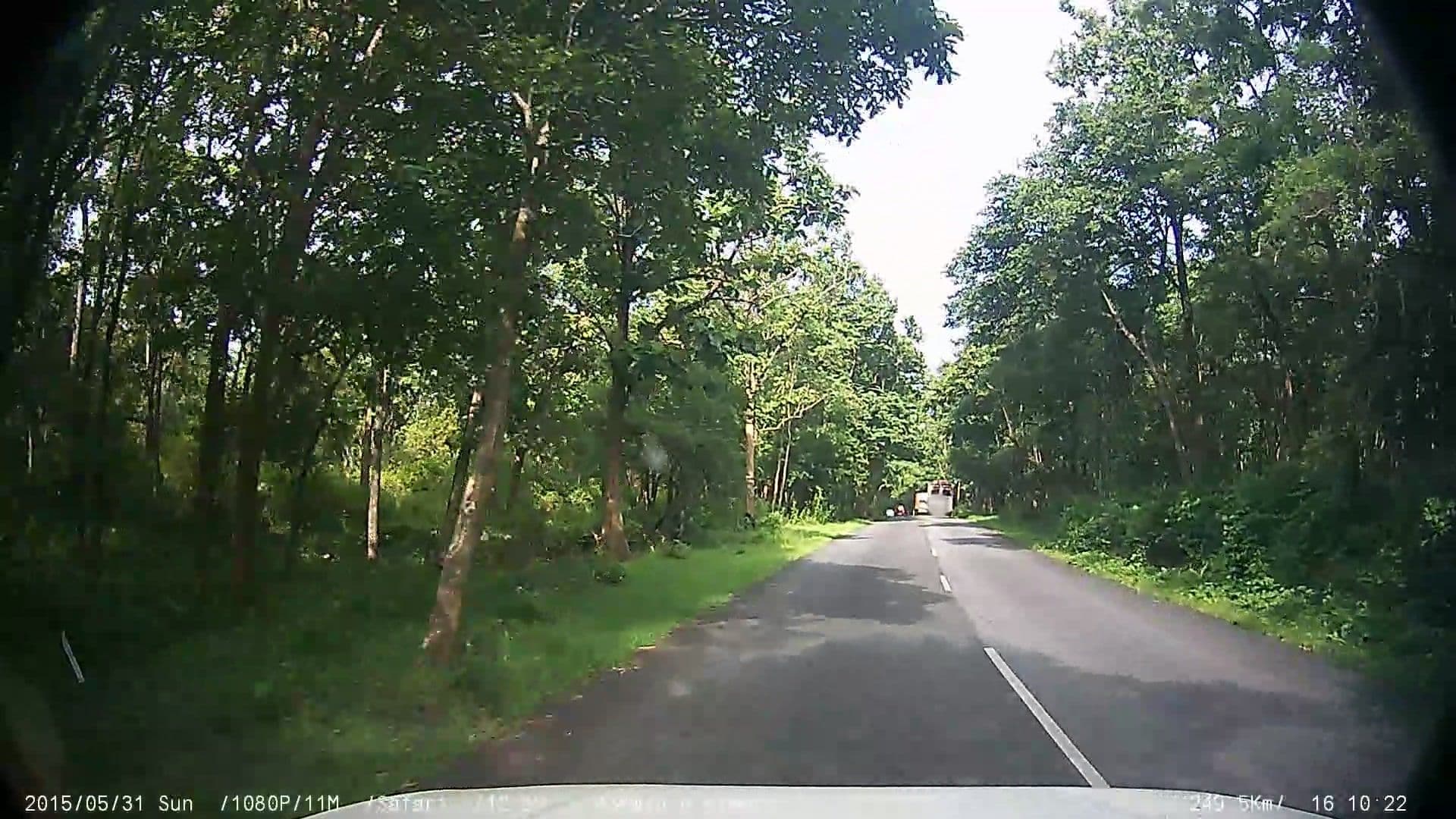 Street view near Hotel Bamboo Groves, Devarshola — © johnichan (CC BY-SA · Mapillary)