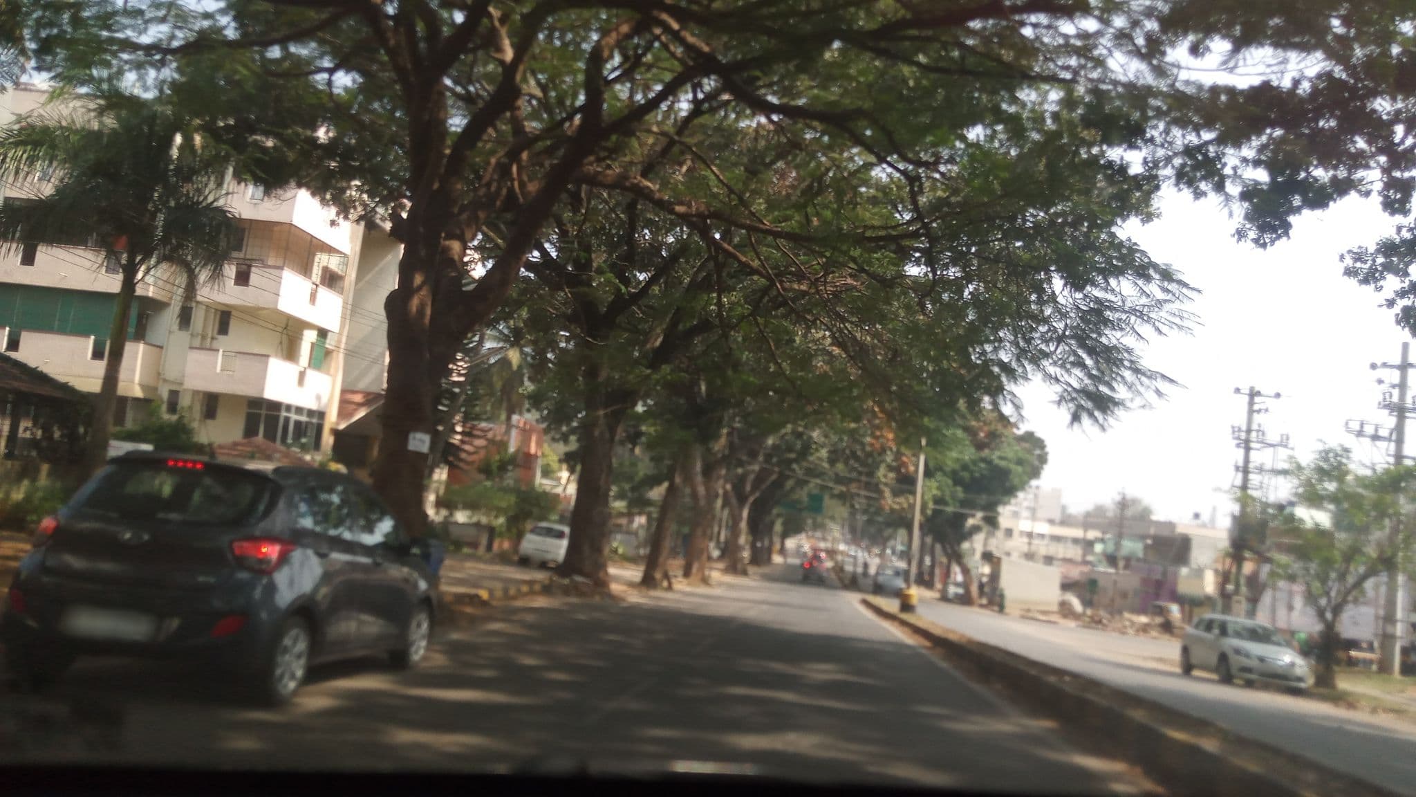 Street view near Hotel Mysuru Naatikkoli, Mysuru — © pradeepbv (CC BY-SA · Mapillary)