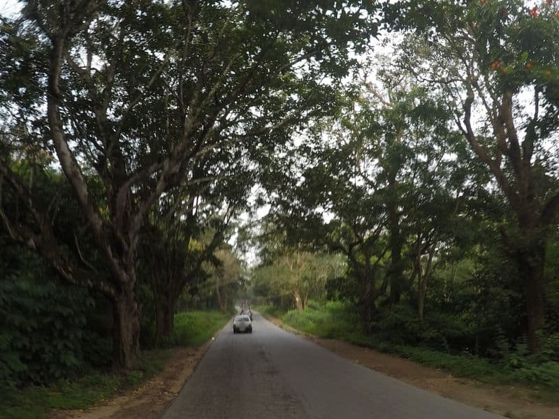Street view near The Serai Chikmagalur Resort, Thegur — © deepak_bicycle (CC BY-SA · Mapillary)