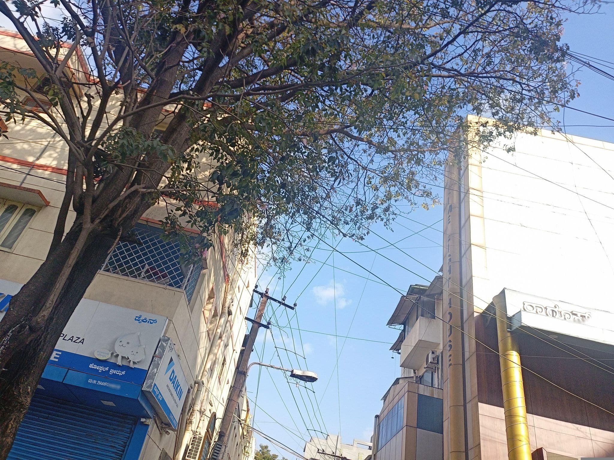 Street view near New Metro Hotel, Bengaluru — © shanmugam (CC BY-SA · Mapillary)