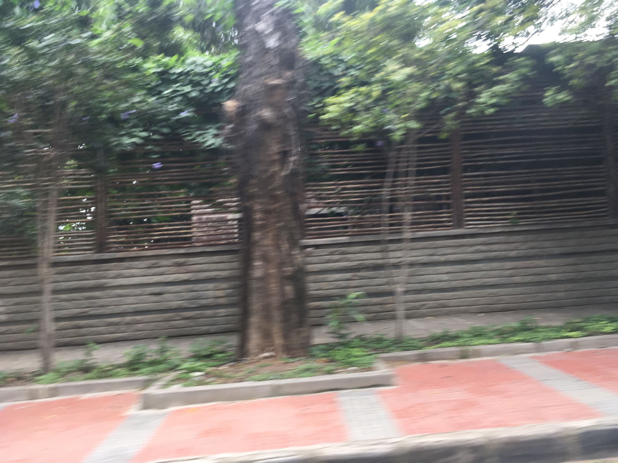 Street view near Alcove Service Apartments, Bengaluru — © tetisheri (CC BY-SA · Mapillary)