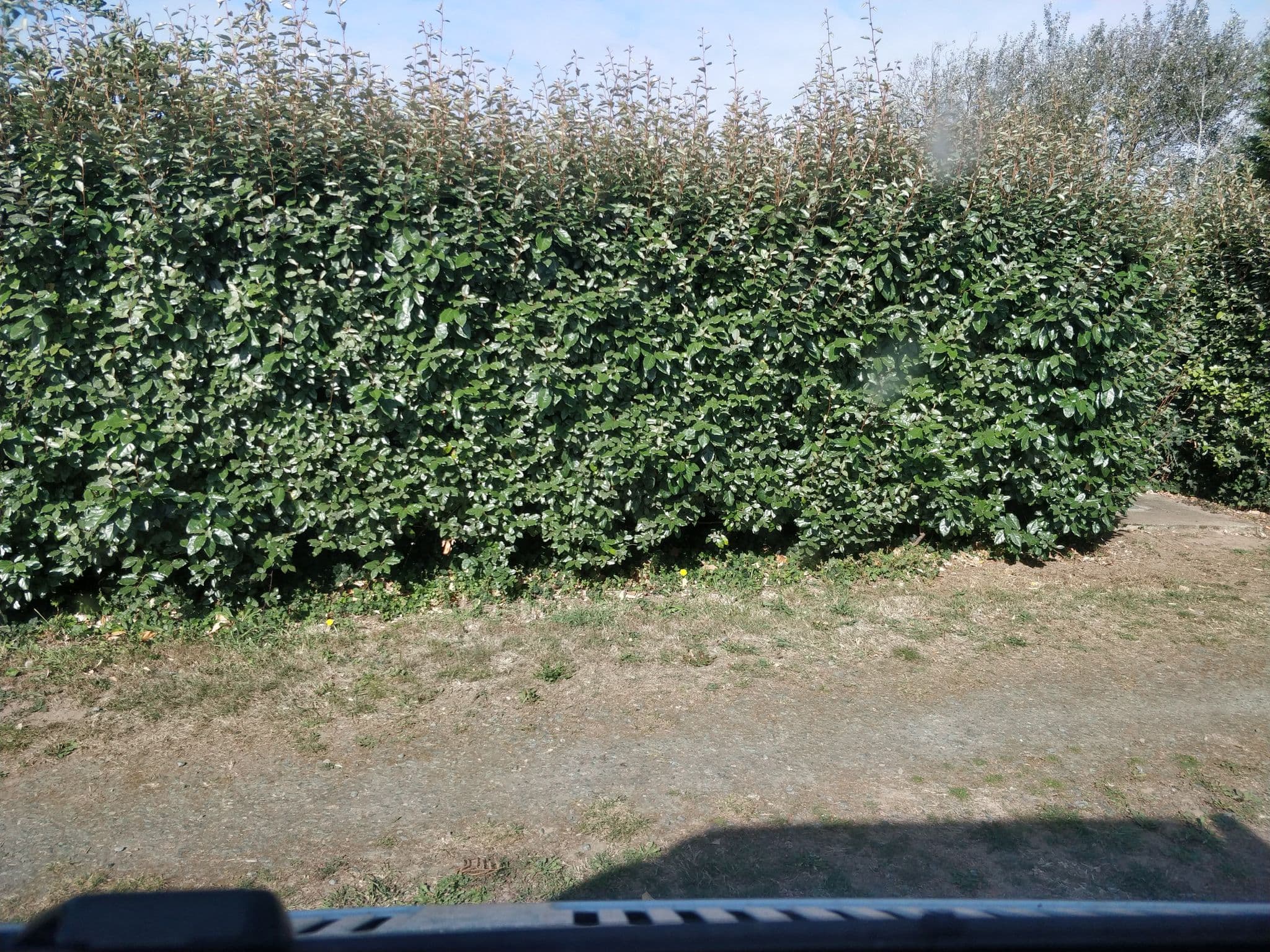 Street view near Le Loup Blanc Camping, Plouhinec — © raymond (CC BY-SA · Mapillary)