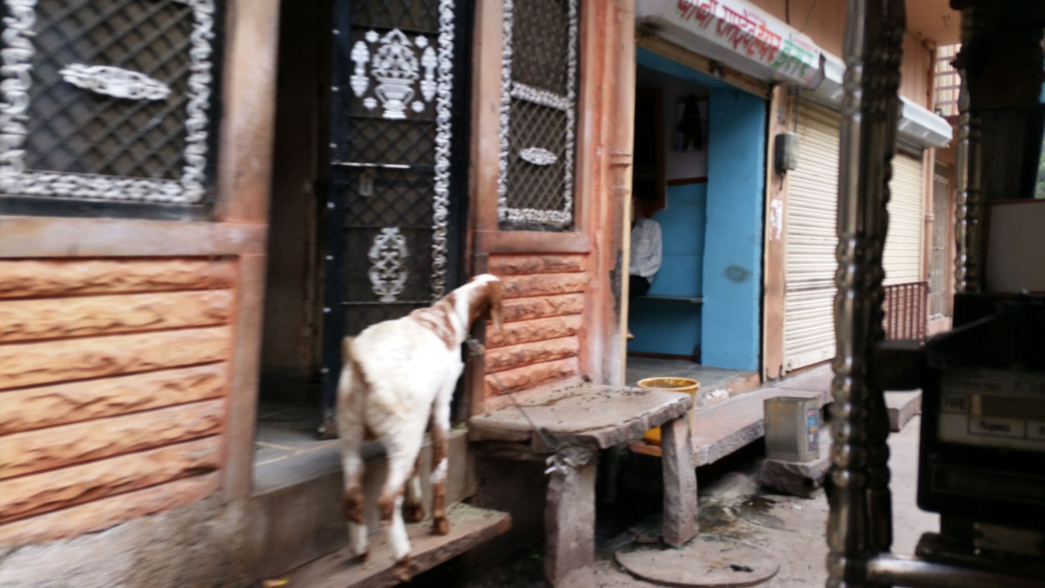 Street view near The Kk Family Home Stay, Jodhpur — © shlublu (CC BY-SA · Mapillary)