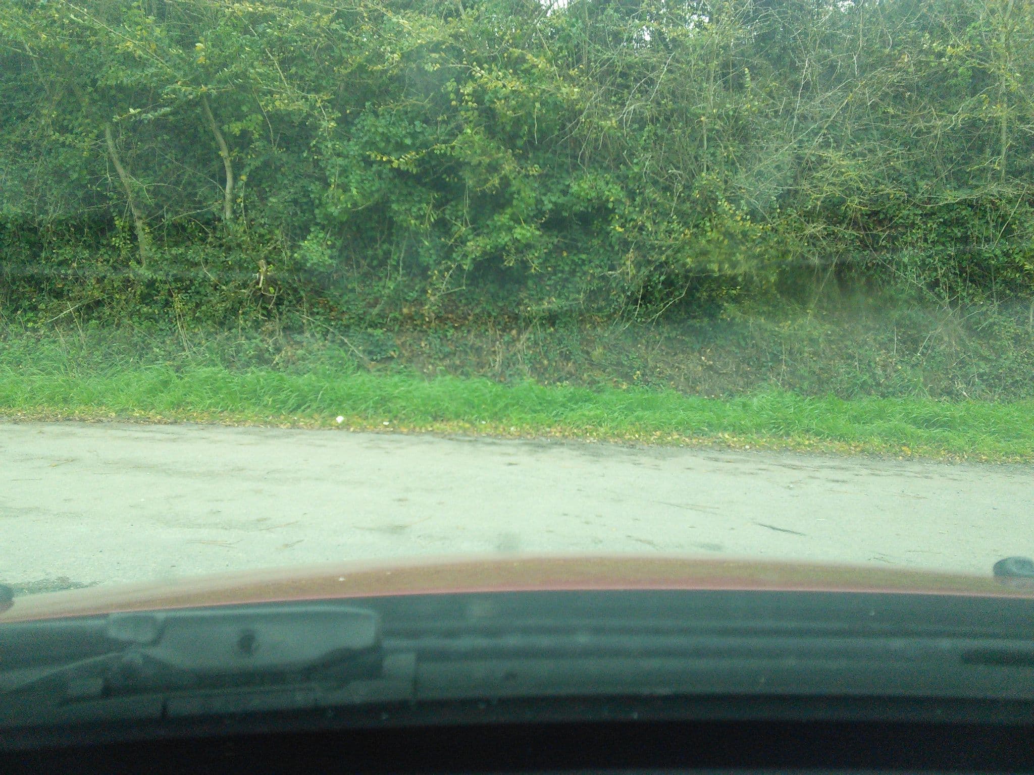 Street view near Aire de pique-nique et de stationnement de Lermot, Hillion — © corentin (CC BY-SA · Mapillary)