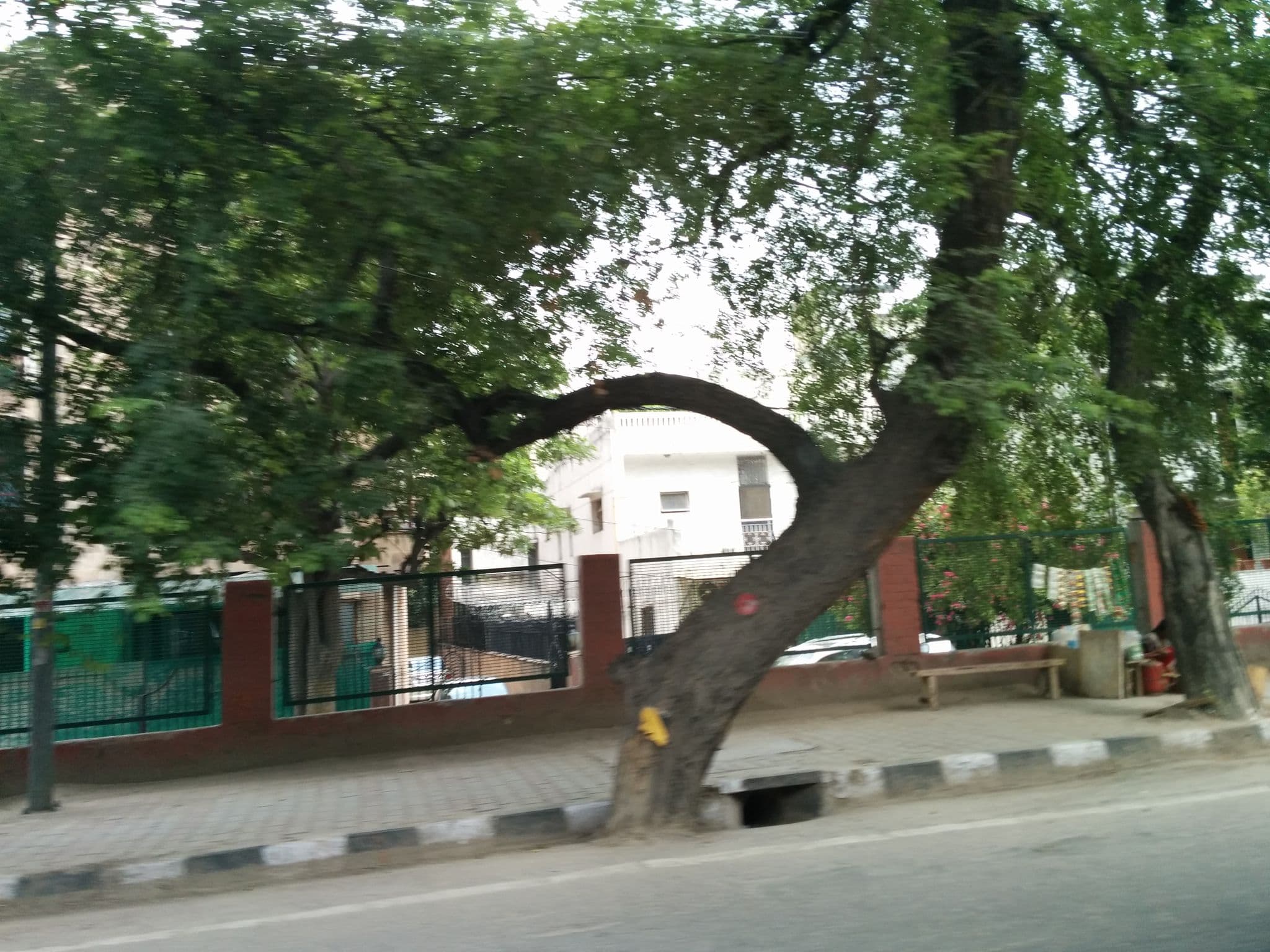 Street view near Rockland Hotel, Tighri — © harishpillay (CC BY-SA · Mapillary)