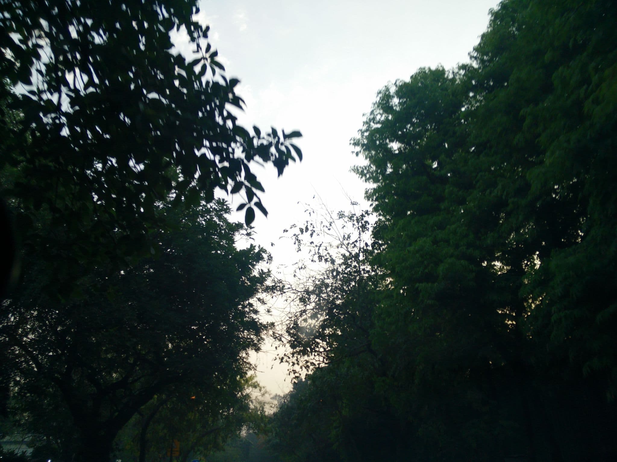Street view near Goa Sadan, New Delhi — © shubhammishr (CC BY-SA · Mapillary)