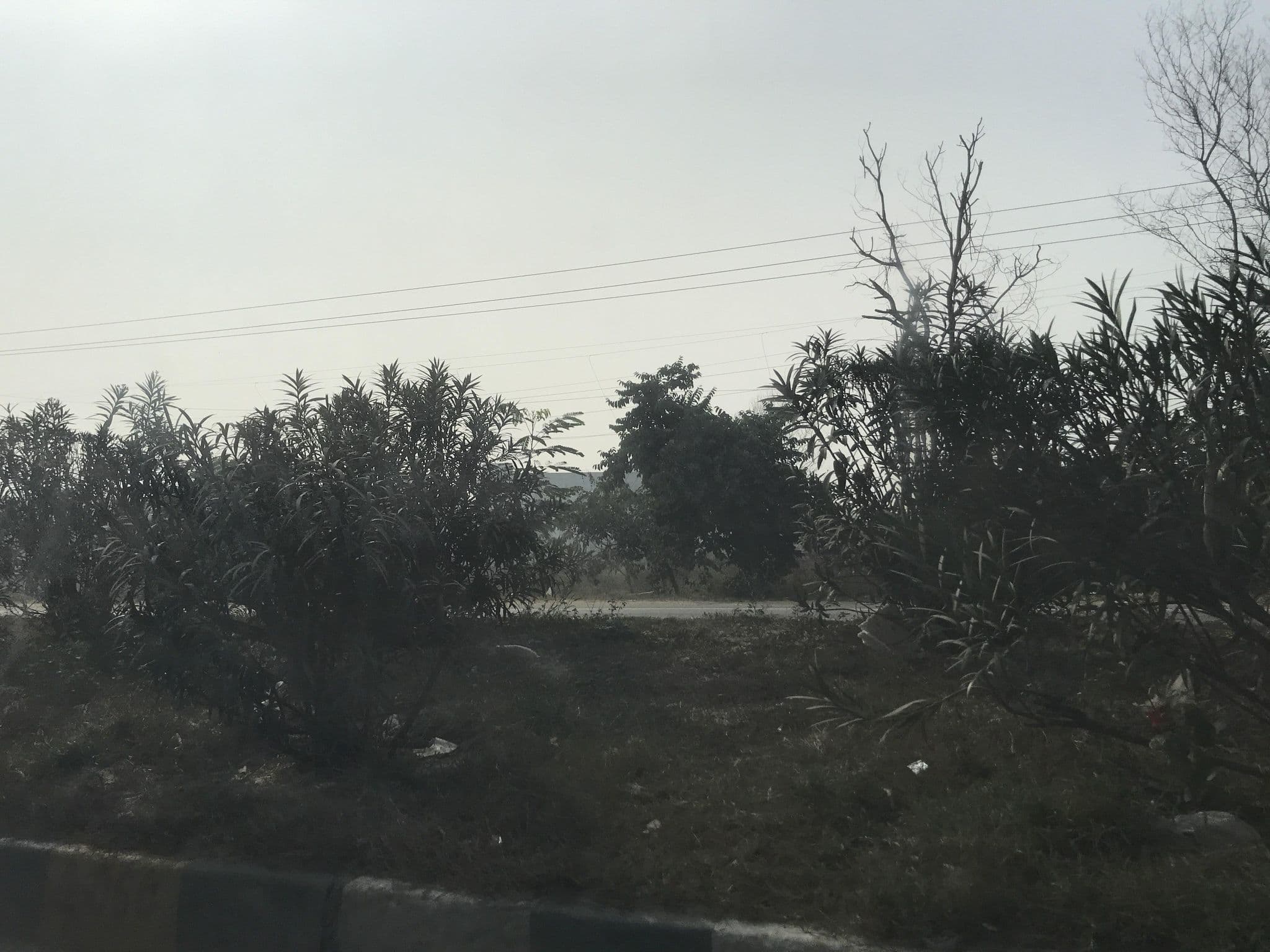 Street view near Doab Vilas, Meerut — © miguel_andrade (CC BY-SA · Mapillary)