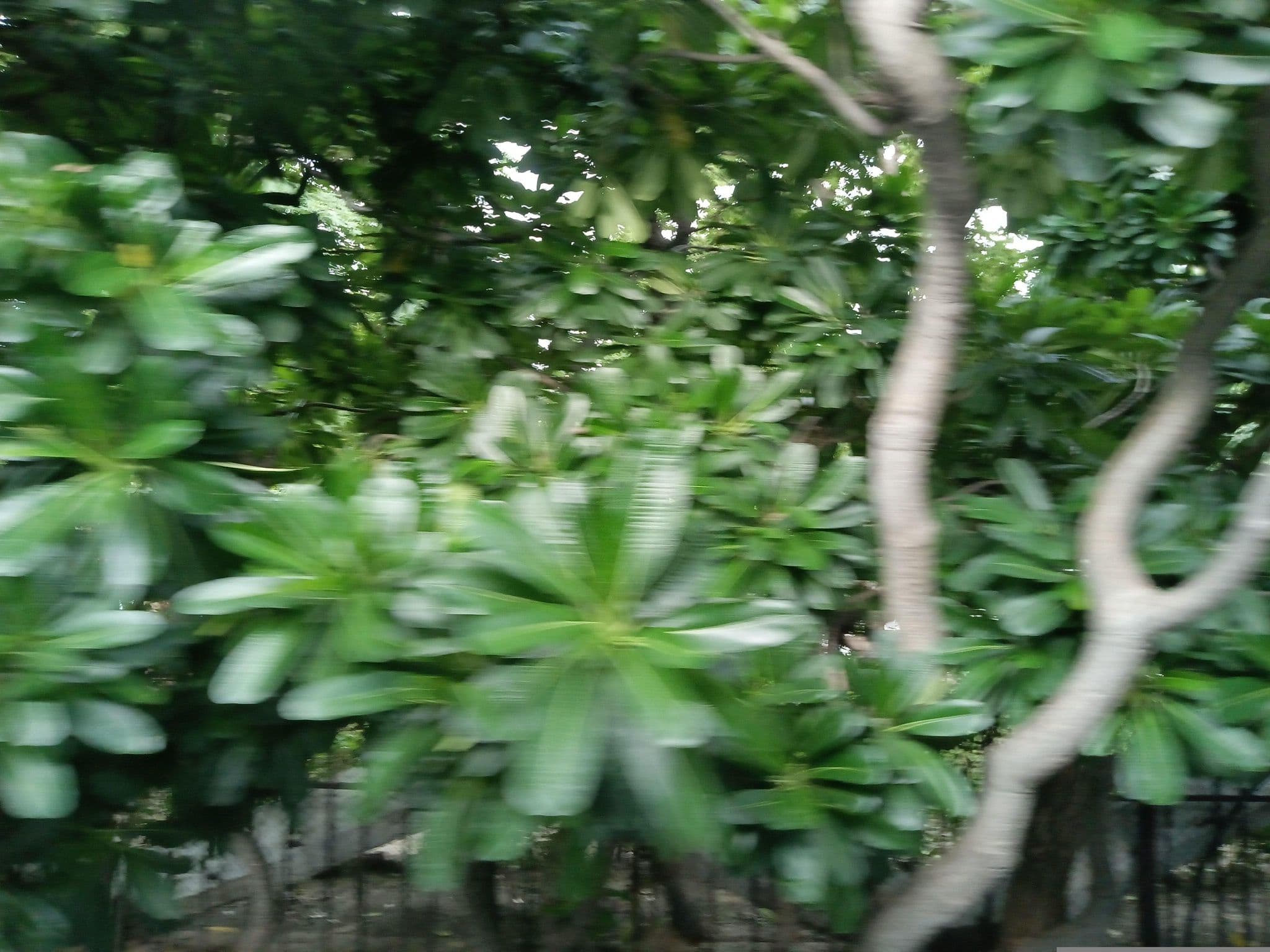 Street view near Room 1614, New Delhi — © maheshika (CC BY-SA · Mapillary)