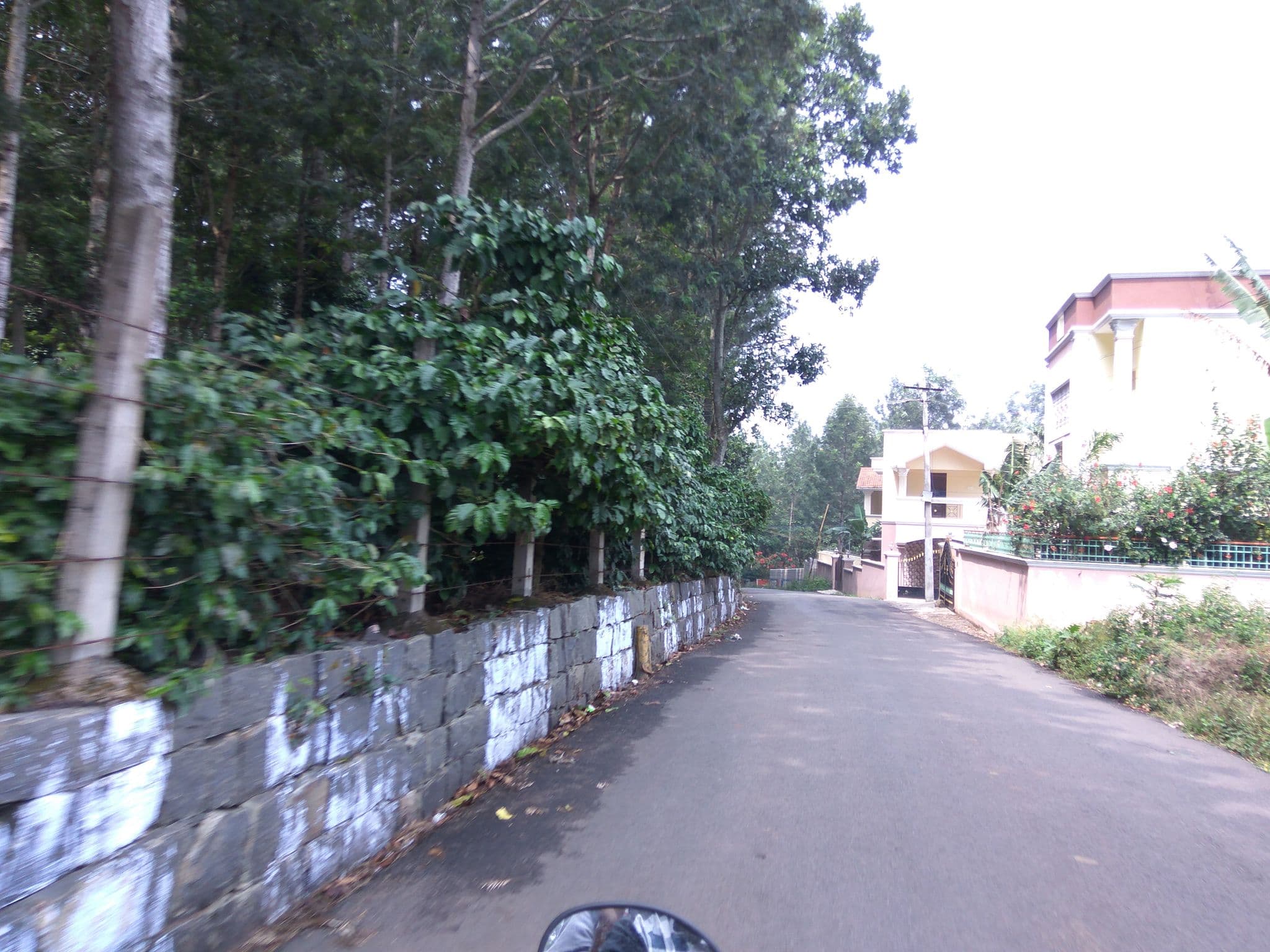 Street view near La Flora Paradise Residency, Yercaud — © natarajakaveeti (CC BY-SA · Mapillary)