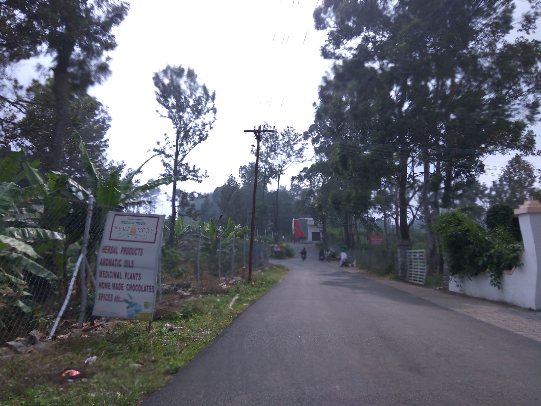Street view near ACK Palacce Inn, Yercaud — © natarajakaveeti (CC BY-SA · Mapillary)