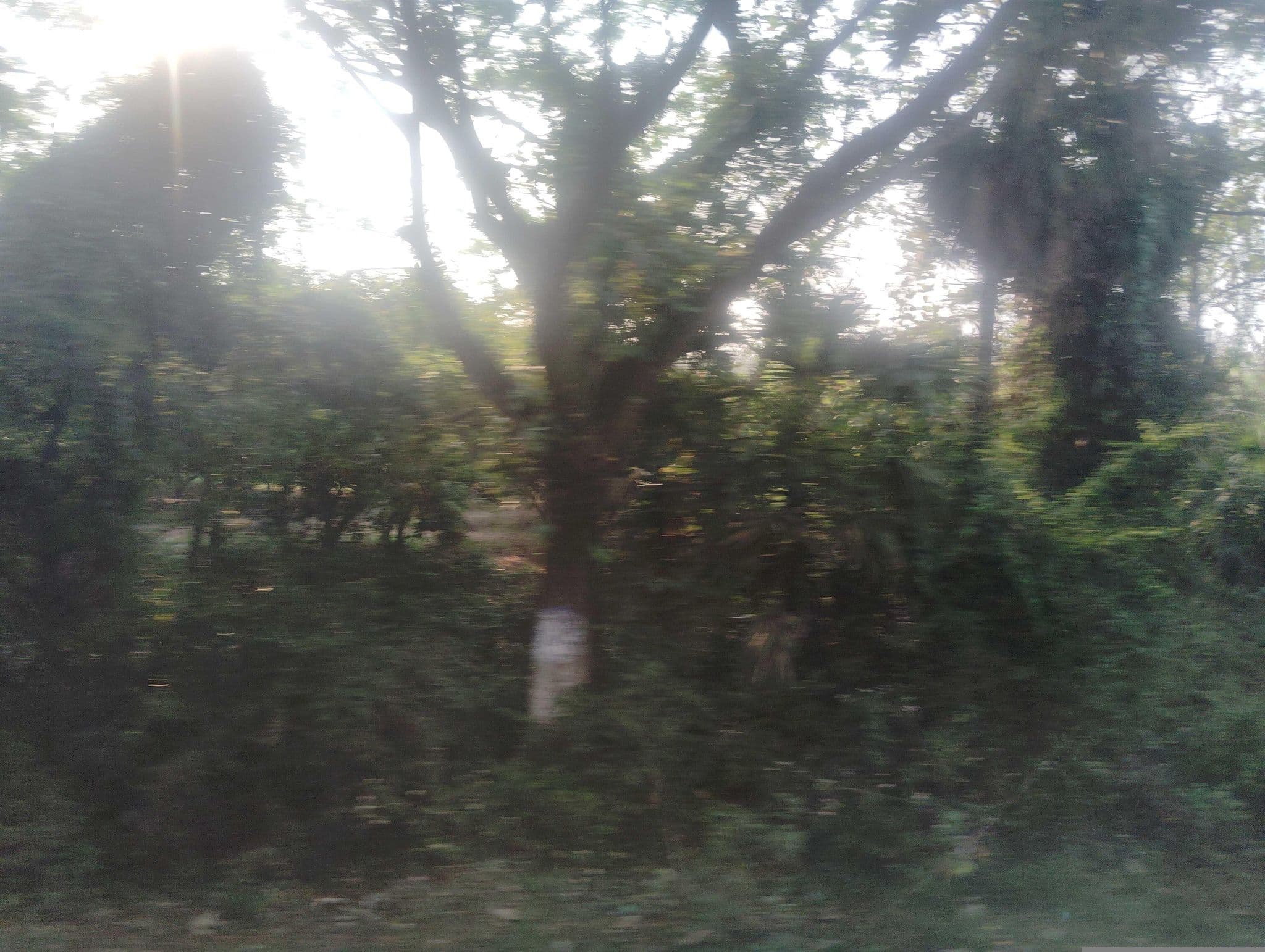 Street view near pallava dynasty, Pudupattanam — © arn1291 (CC BY-SA · Mapillary)