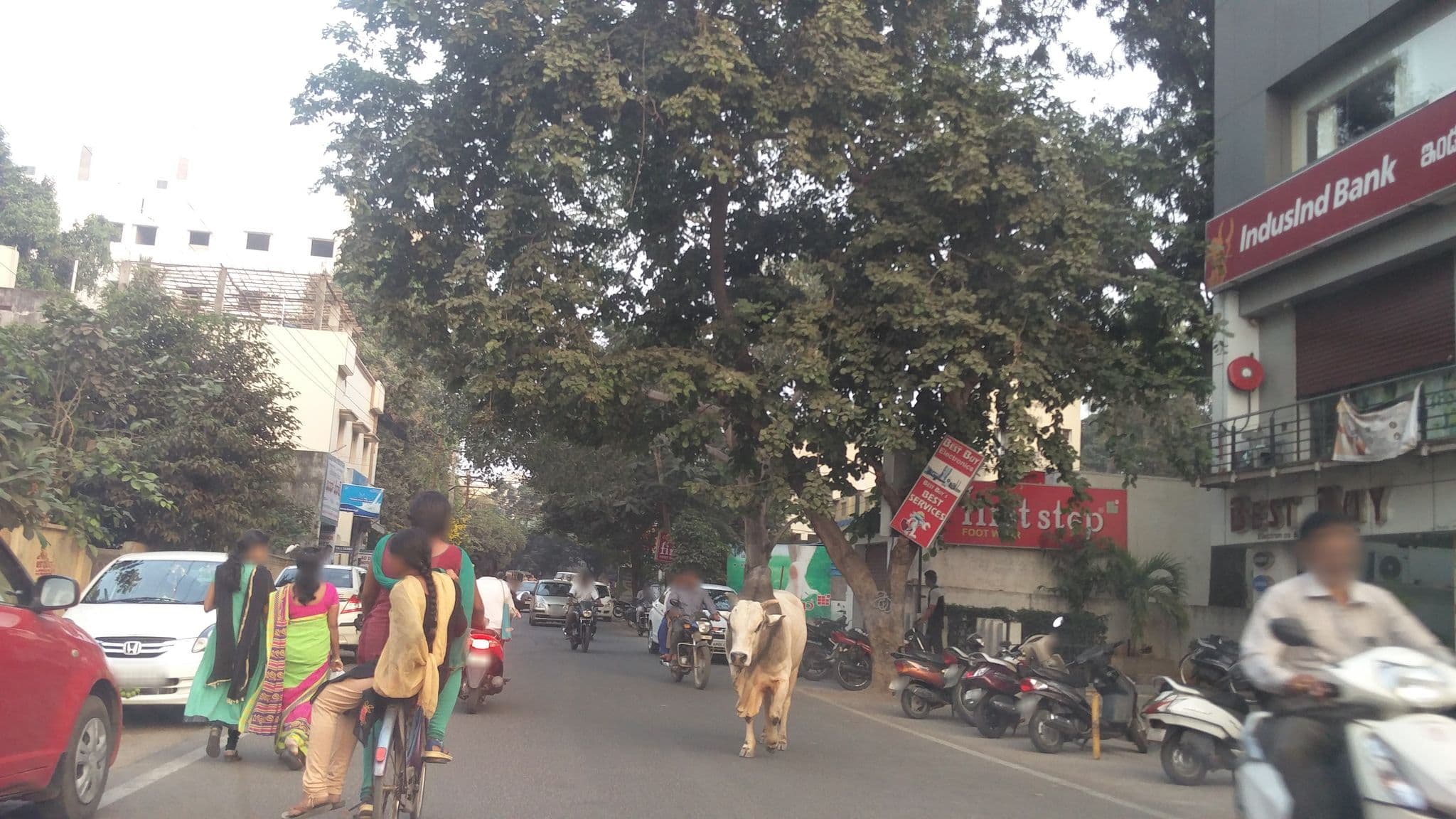 Street view near Hotel Leela Pavilion, Rajamahendravaram — © jothirnadh (CC BY-SA · Mapillary)
