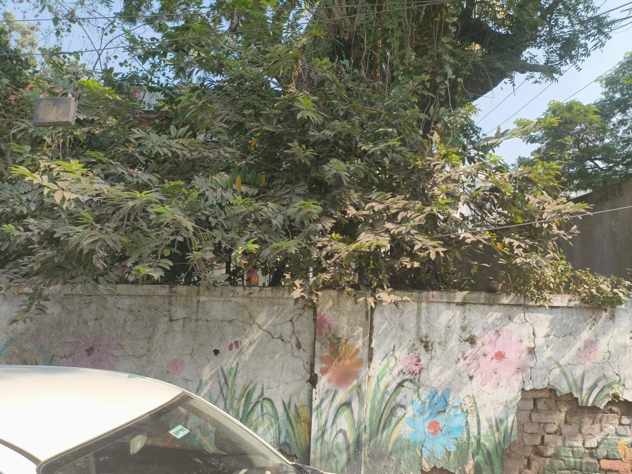 Street view near Sri Satya Hotel, Balaga — © ph4ni (CC BY-SA · Mapillary)