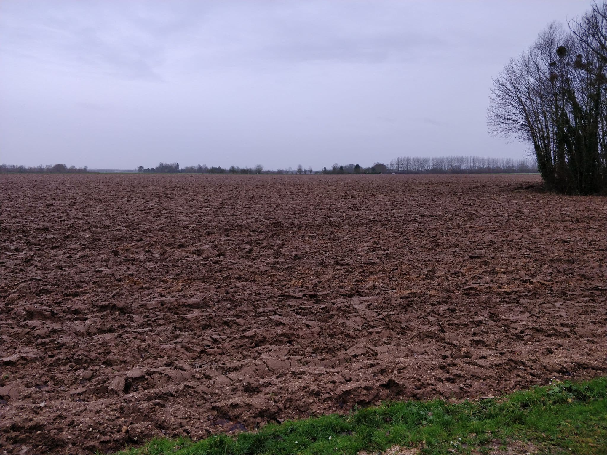 Street view near Halte Nautique Fluviale d'Orconte, Frignicourt — © raymond (CC BY-SA · Mapillary)