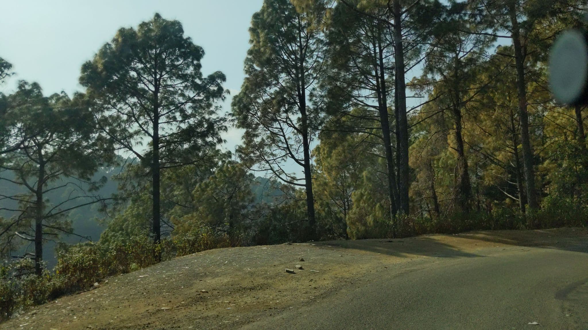 Street view near Gemini Inn, Bhowali — © lakshyajeet (CC BY-SA · Mapillary)