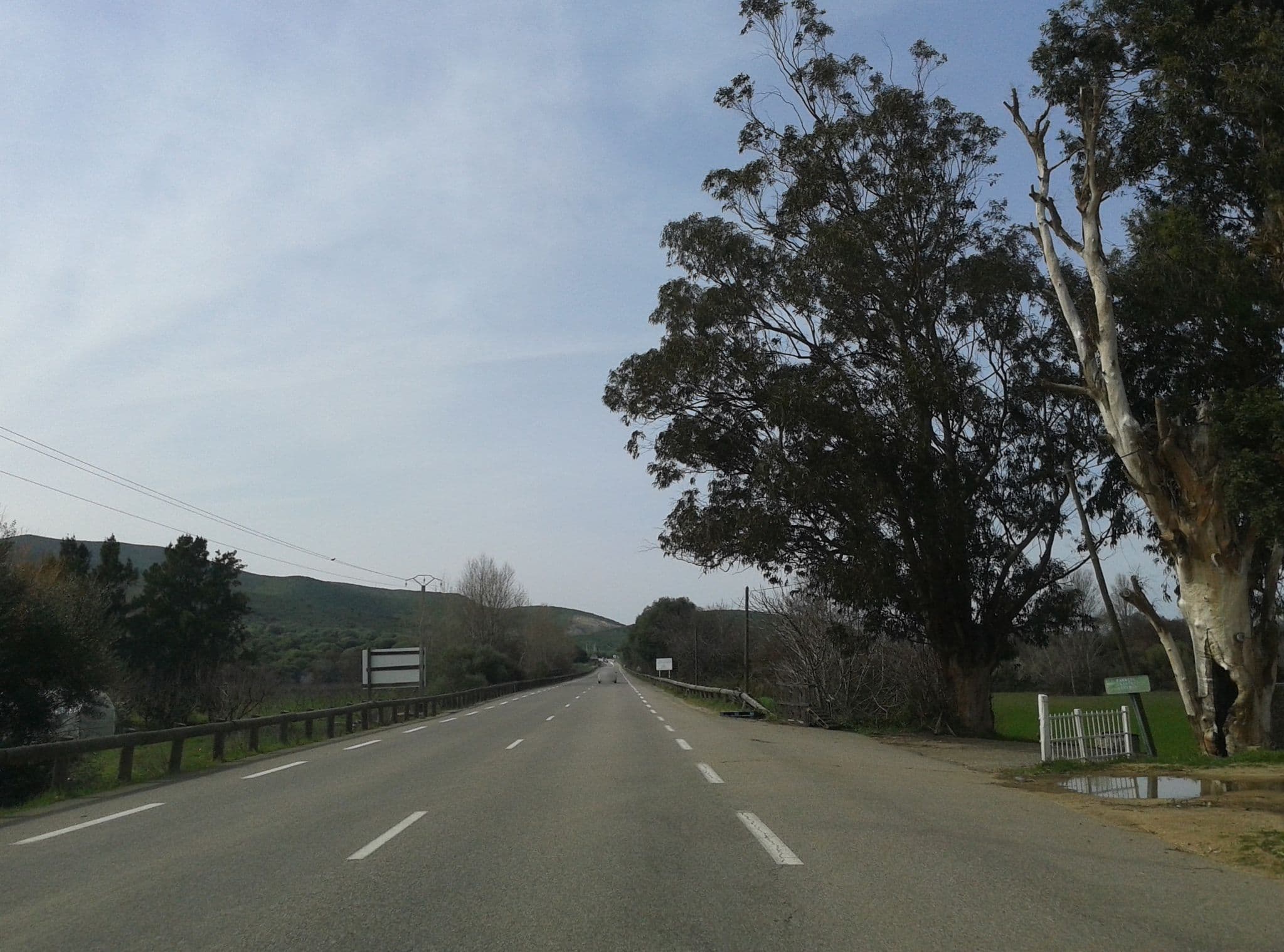 Street view near L'agriate café, Monticello — © momix (CC BY-SA · Mapillary)