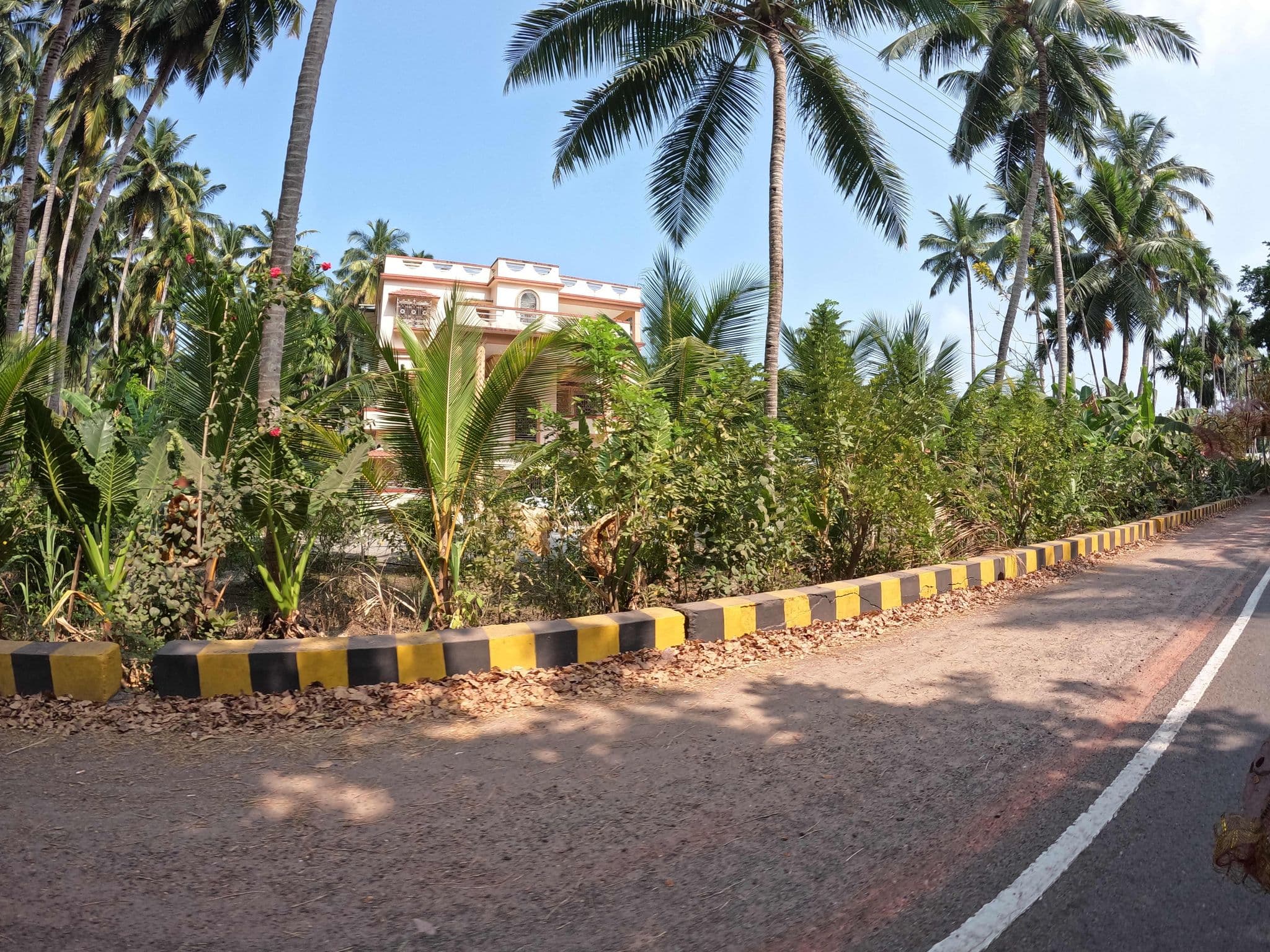 Street view near Munjoh Resorts, Bamboo Flat — © lucomsky (CC BY-SA · Mapillary)