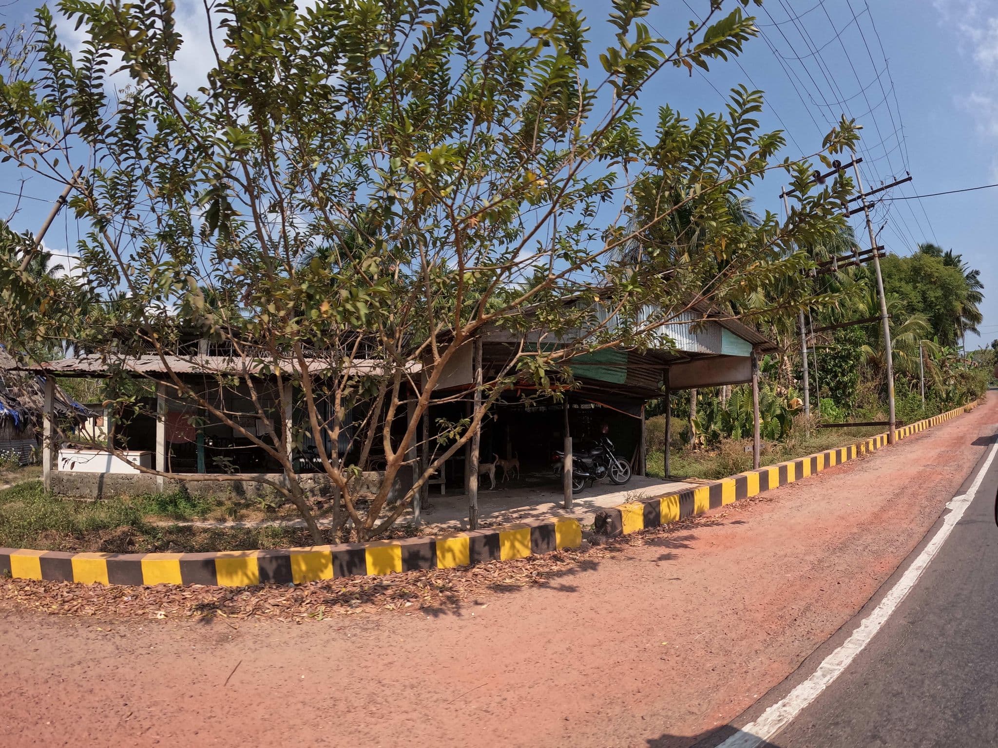 Street view near Emerald Gecko, Bamboo Flat — © lucomsky (CC BY-SA · Mapillary)