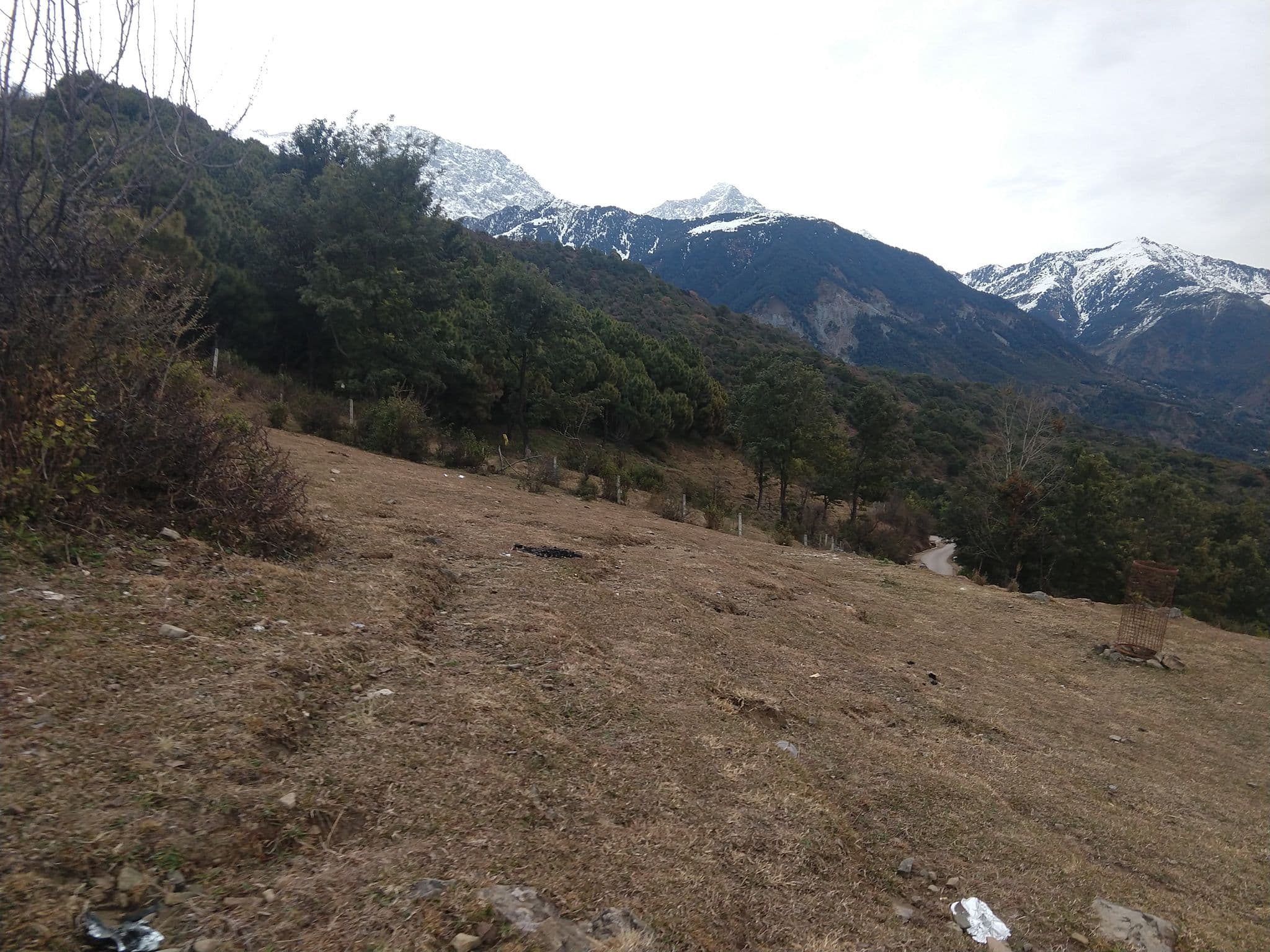 Street view near Hotel The Destination, Dharamsala — © bholekibhasam (CC BY-SA · Mapillary)