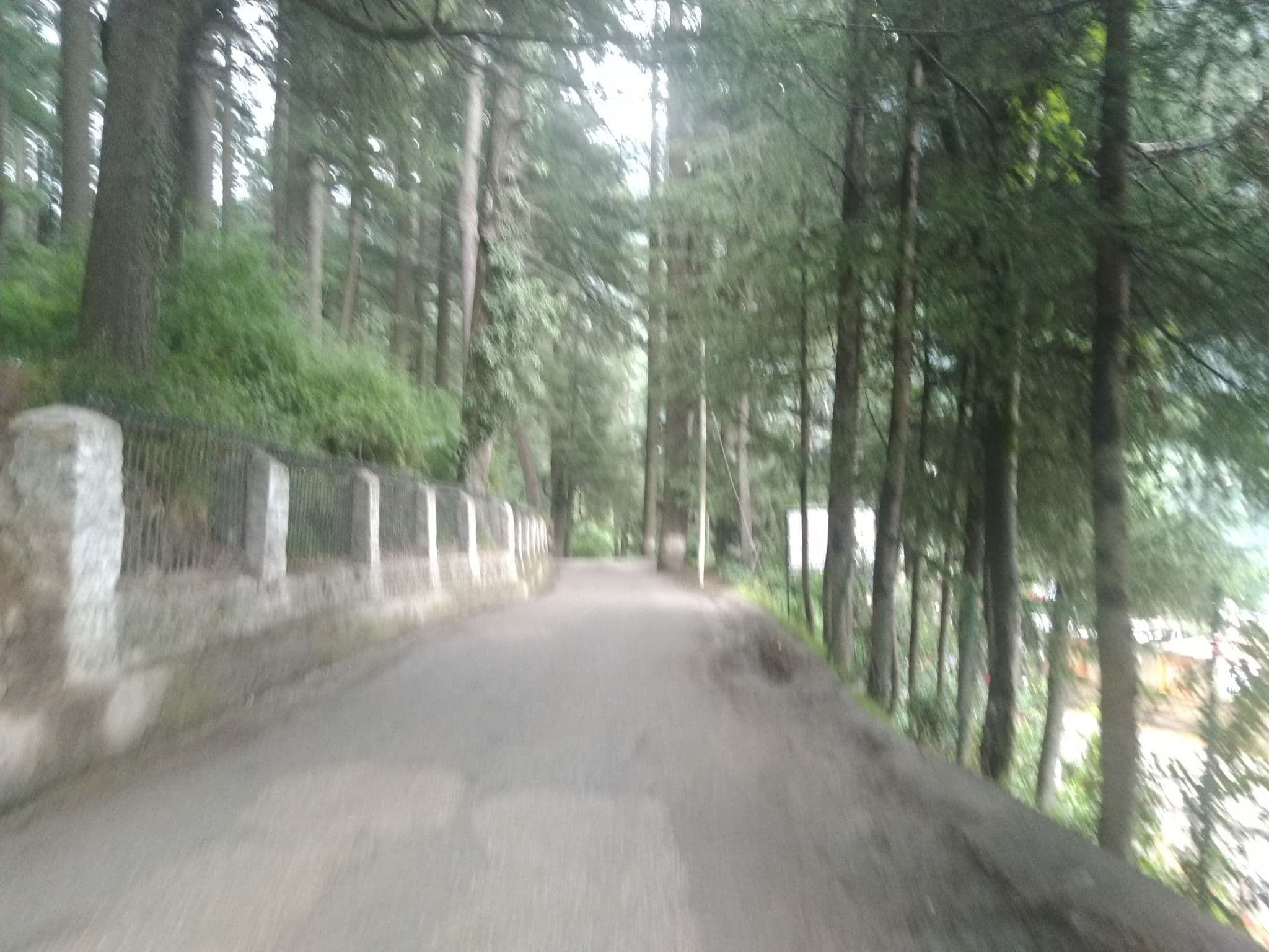 Street view near Shringar Regency MANALI, Kulu — © rohan_2911 (CC BY-SA · Mapillary)