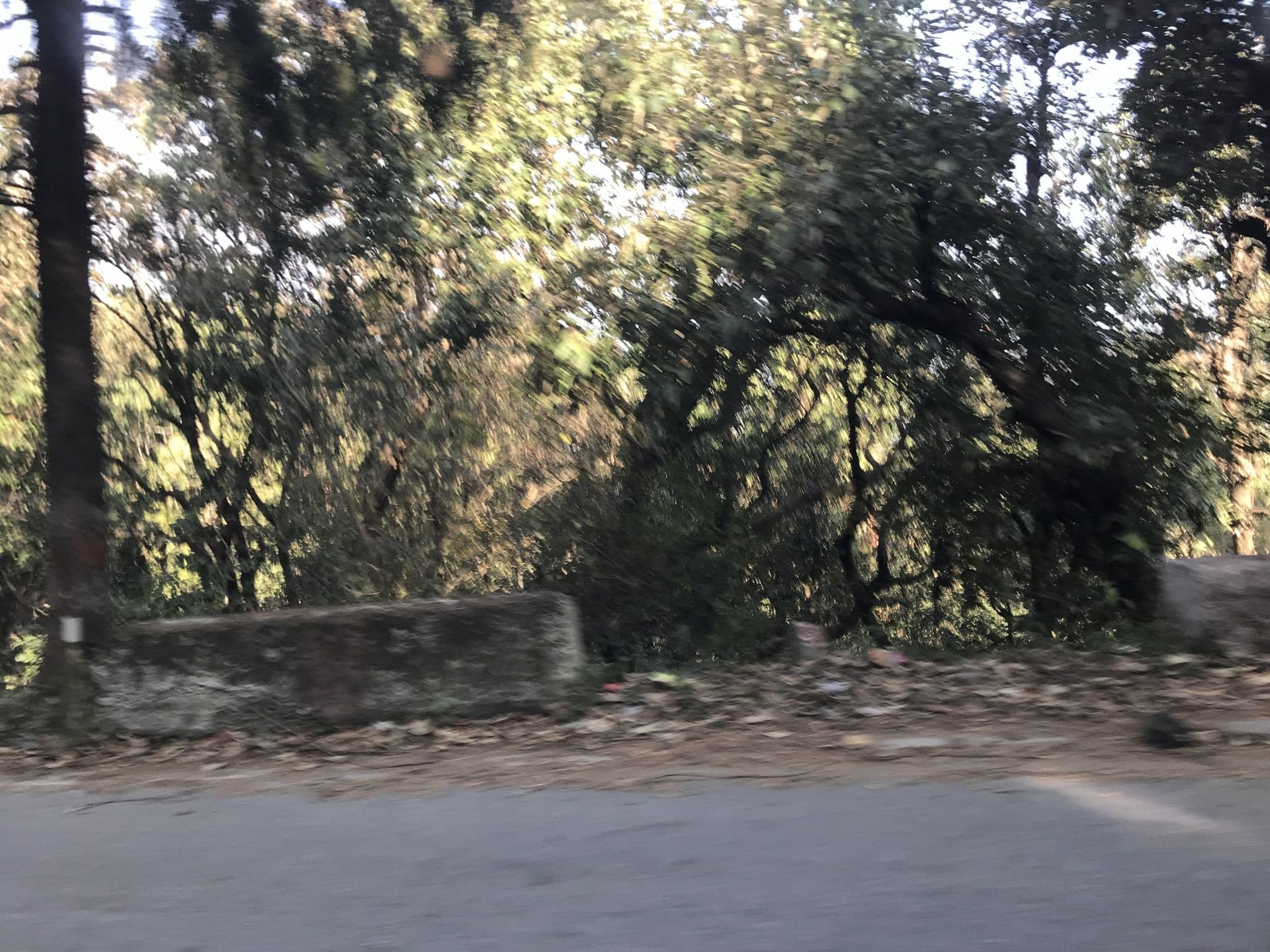 Street view near Hotel Wild Flower House, Mussoorie — © miguel_andrade (CC BY-SA · Mapillary)