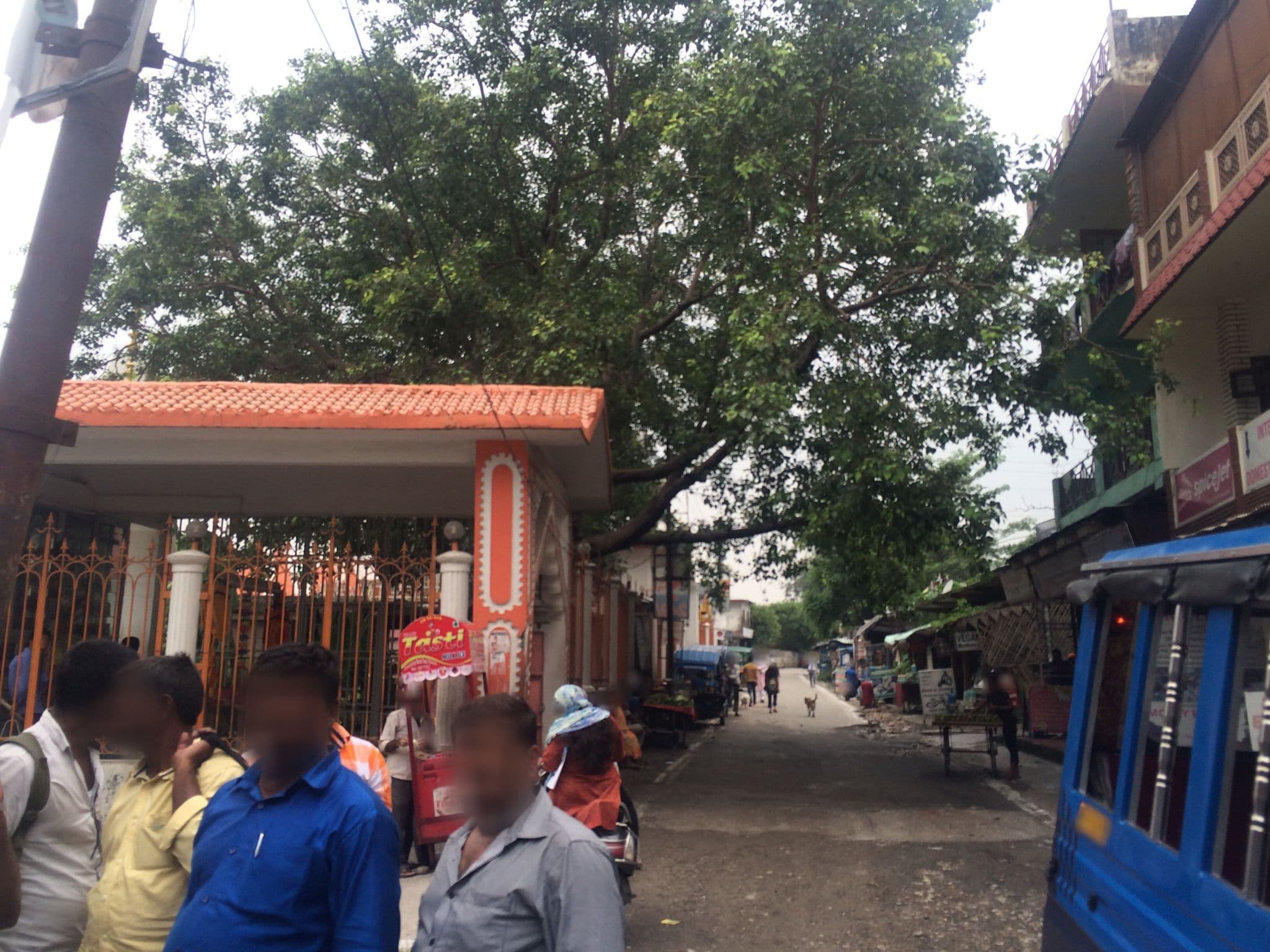 Street view near Live Free Hostel, Rishīkesh — © shailajashah (CC BY-SA · Mapillary)