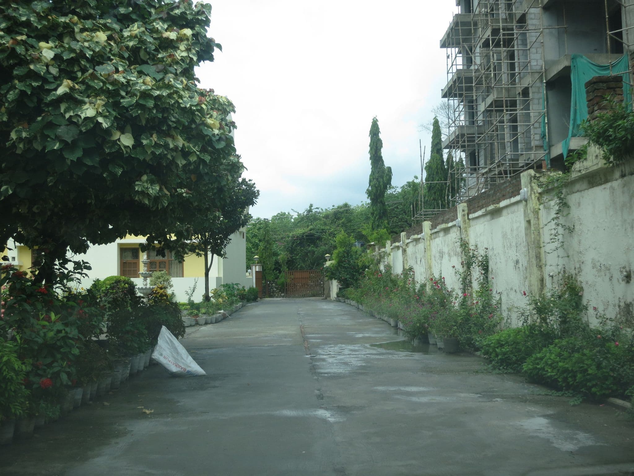 Street view near The Ayali, Rishīkesh — © lto (CC BY-SA · Mapillary)