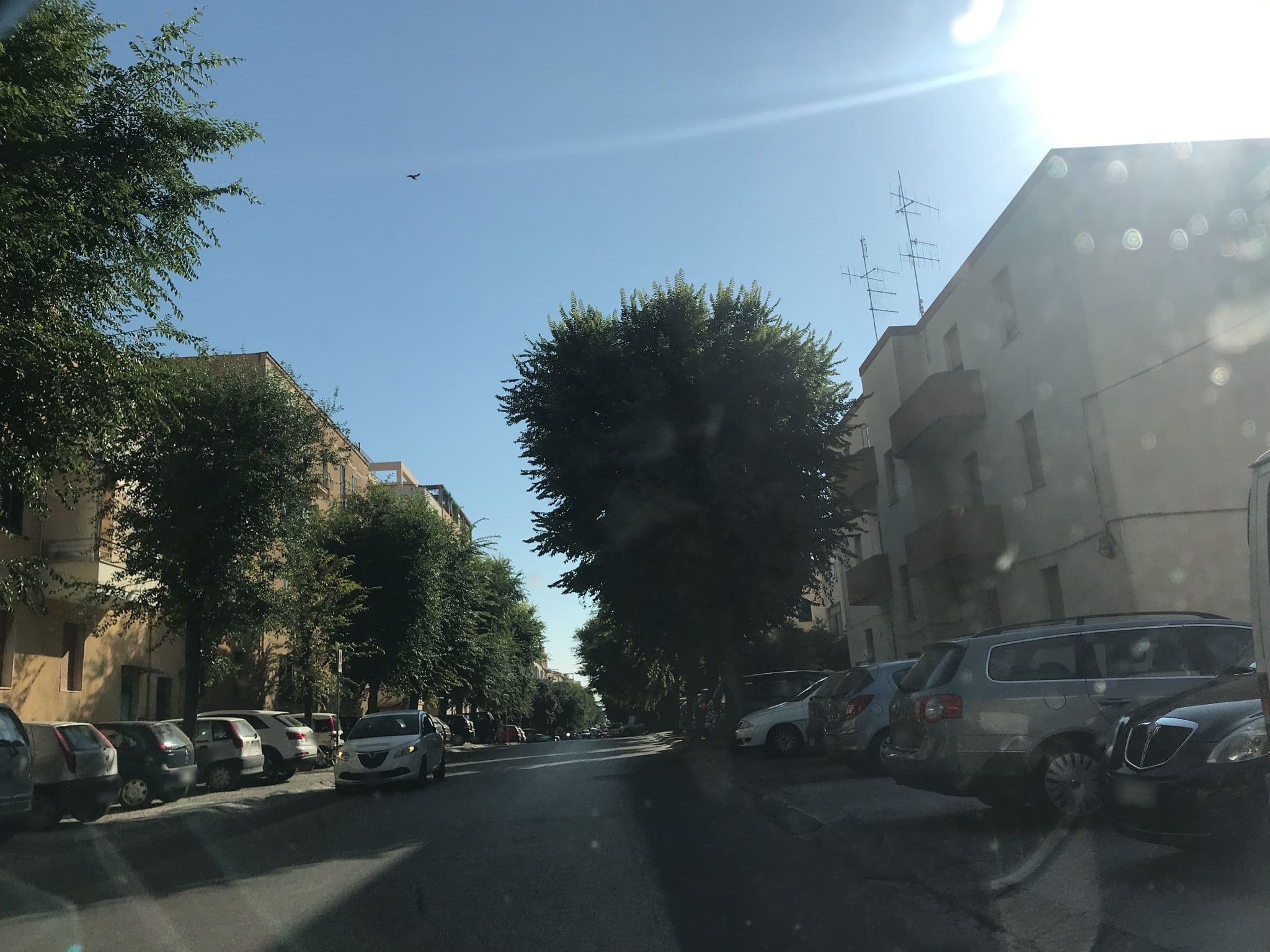 Street view near B&B SA Oghe Alghero, Alghero — © thepriben (CC BY-SA · Mapillary)