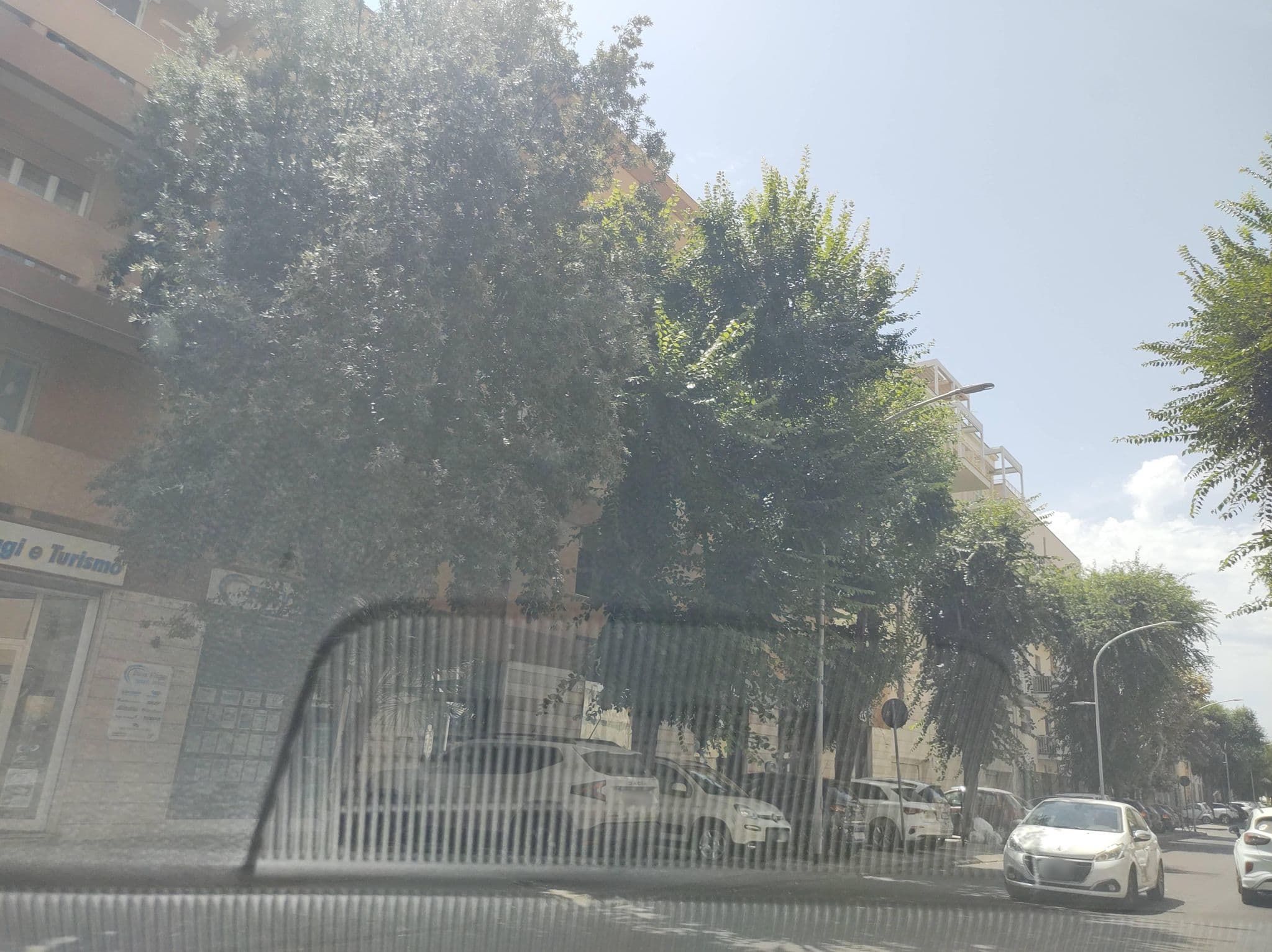 Street view near Alghero Appartamenti Vacanze, Alghero — © thetornado76 (CC BY-SA · Mapillary)