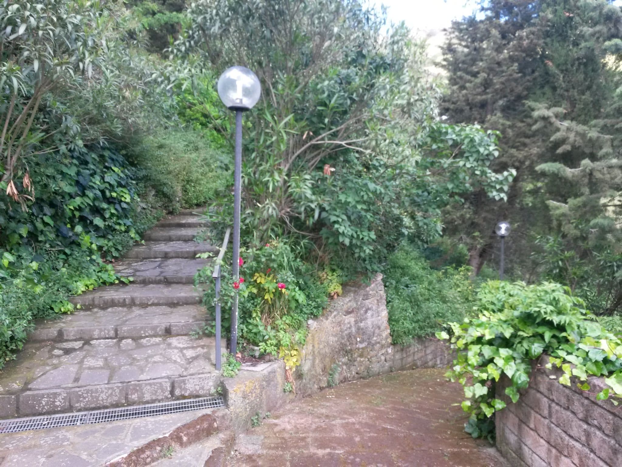 Street view near Hotel Rio Ristorante Tipico, Rio Marina — © rausk (CC BY-SA · Mapillary)