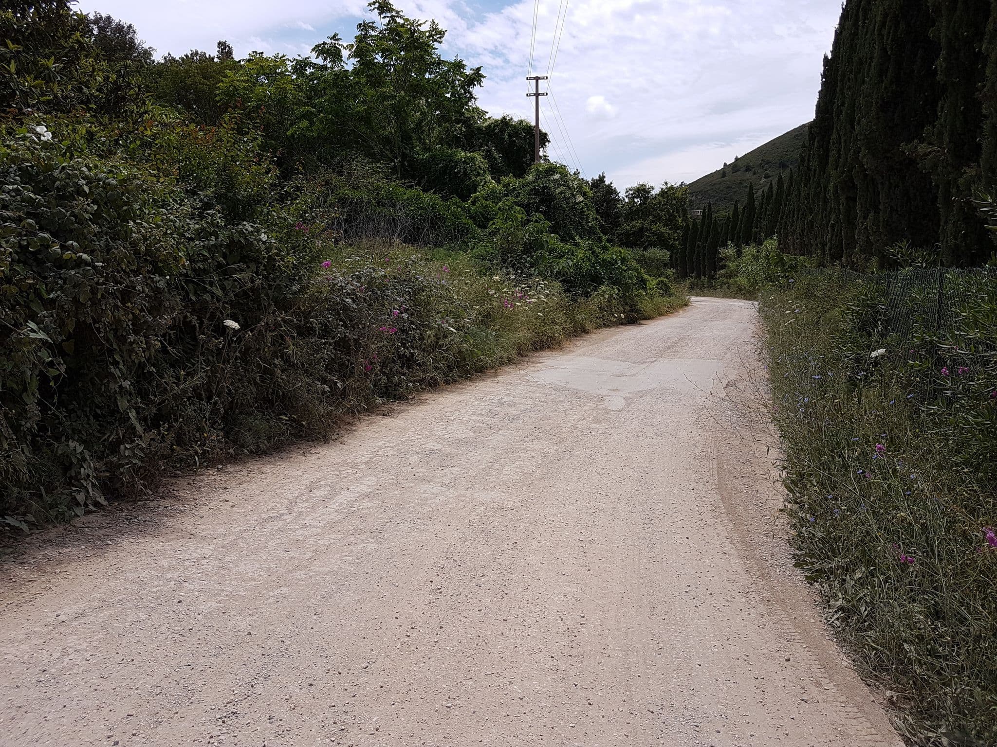 Street view near Appartamenti Binia, Capoliveri — © qungo (CC BY-SA · Mapillary)