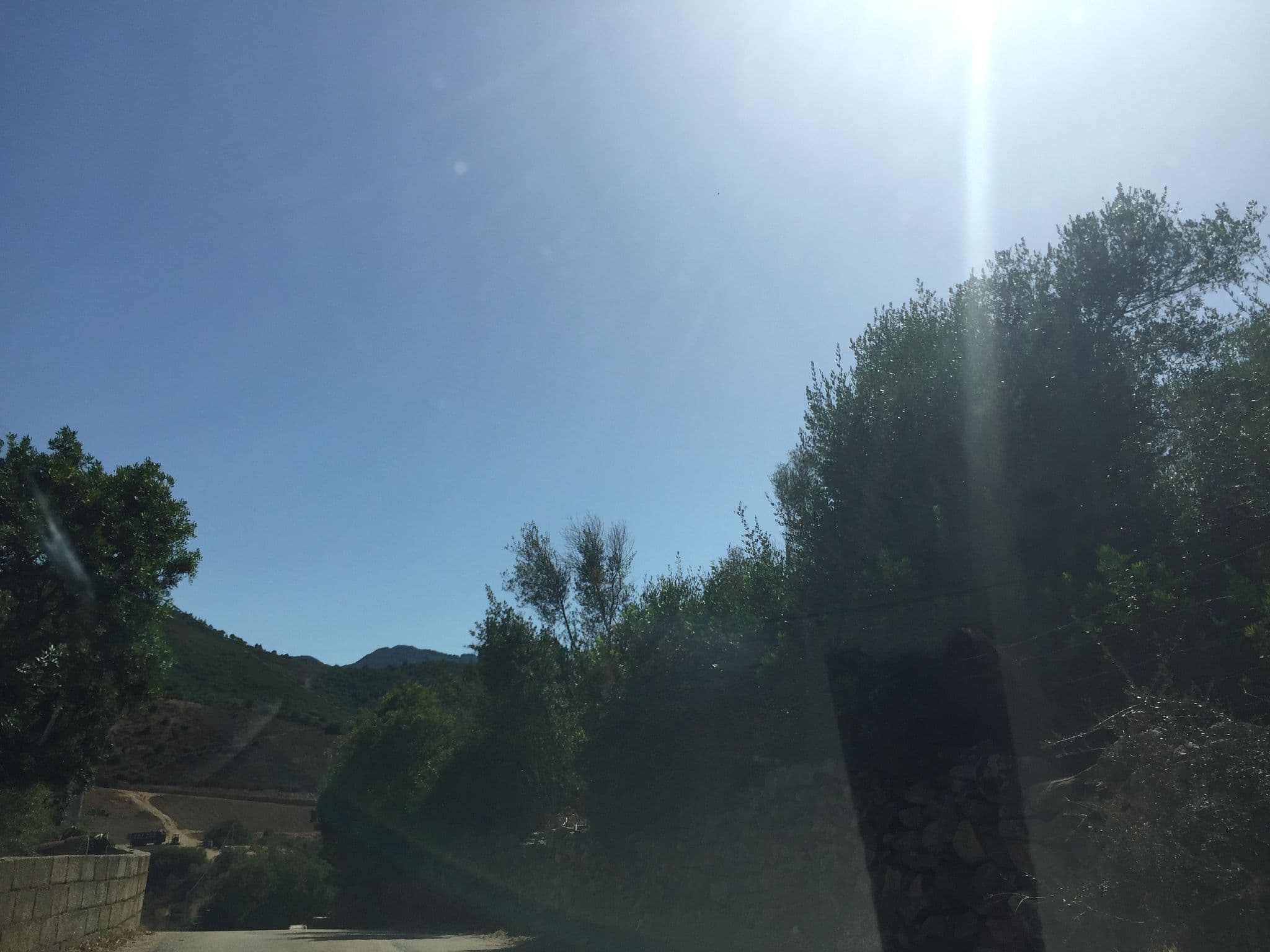 Street view near Il giardino di Daniela, Budoni — © thepriben (CC BY-SA · Mapillary)