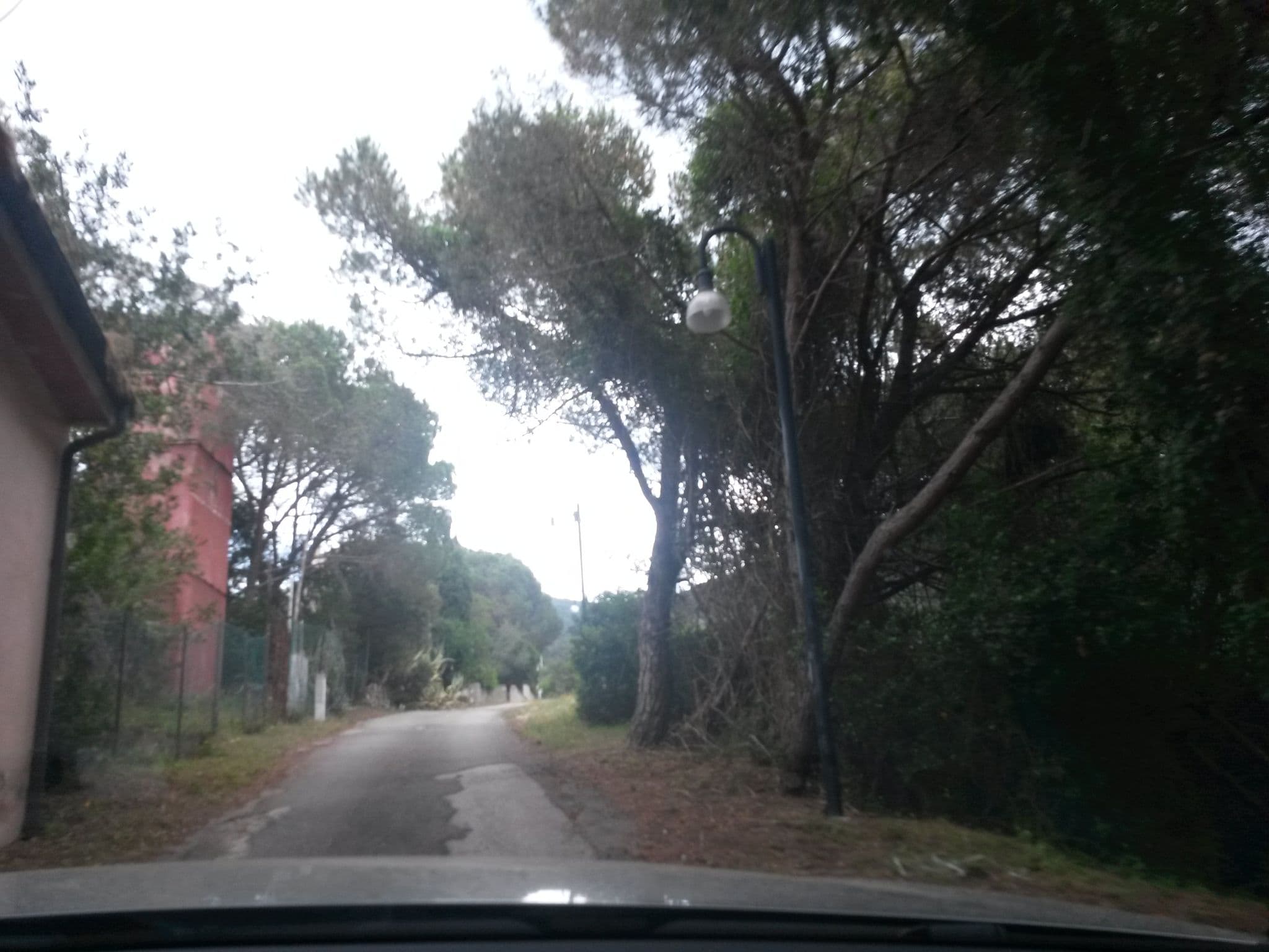 Street view near B&B Locanda del Borgo Agriturismo La Paradisa, Rio Marina — © rausk (CC BY-SA · Mapillary)