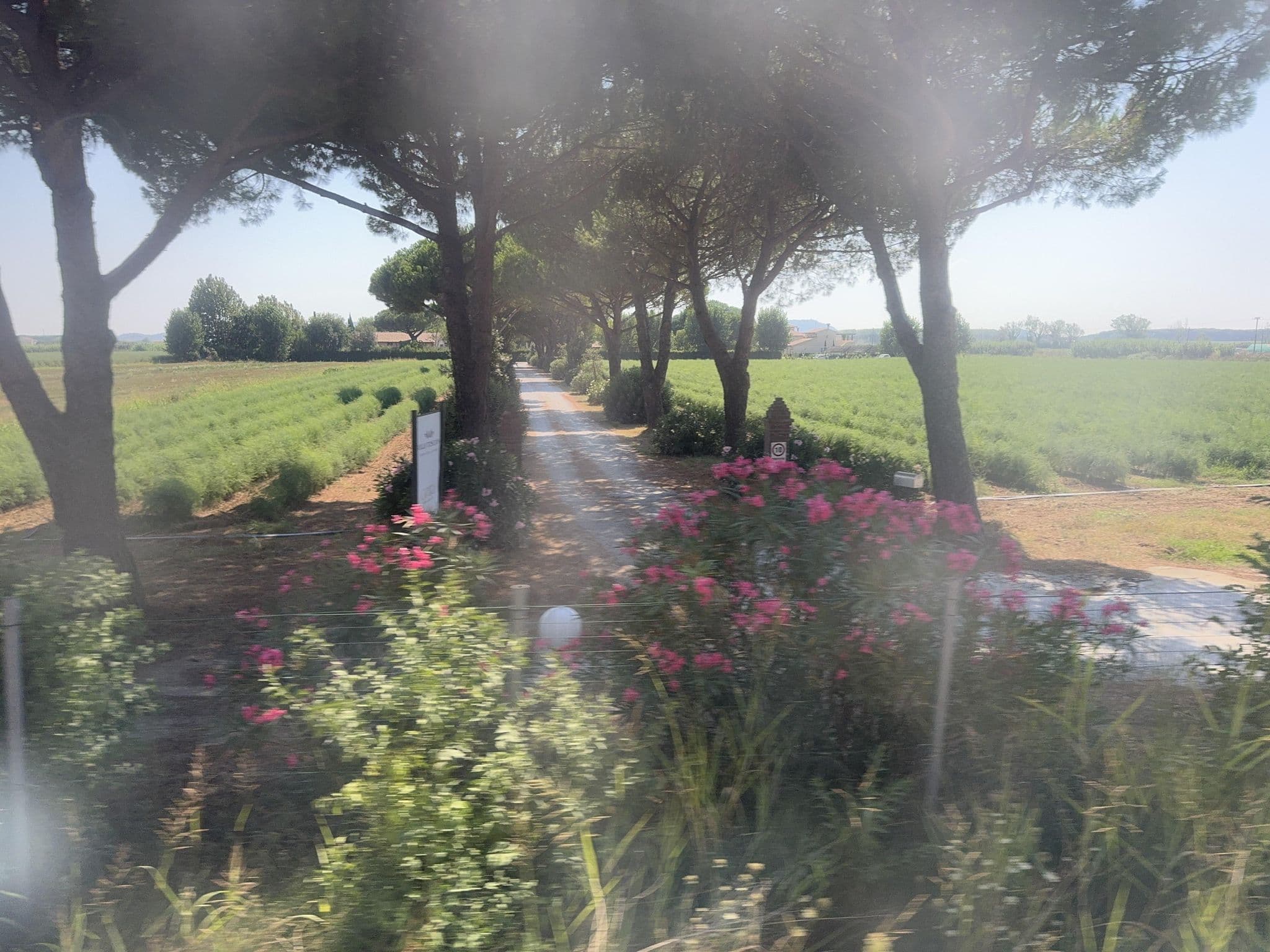Street view near Agriturismo Villa Toscana, Venturina — © mapconcierge (CC BY-SA · Mapillary)