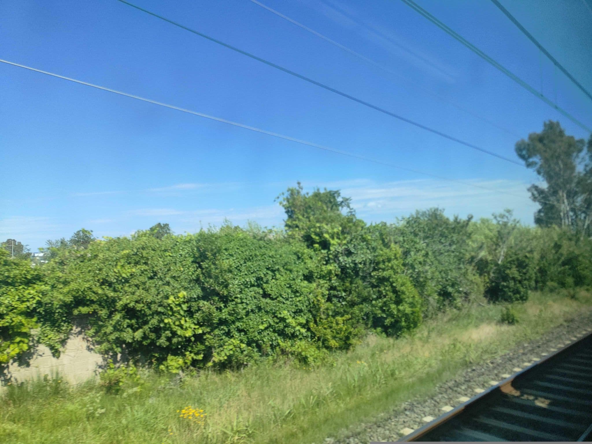 Street view near Casa Vacanze Cedrino, Cecina — © omfg_notpr (CC BY-SA · Mapillary)
