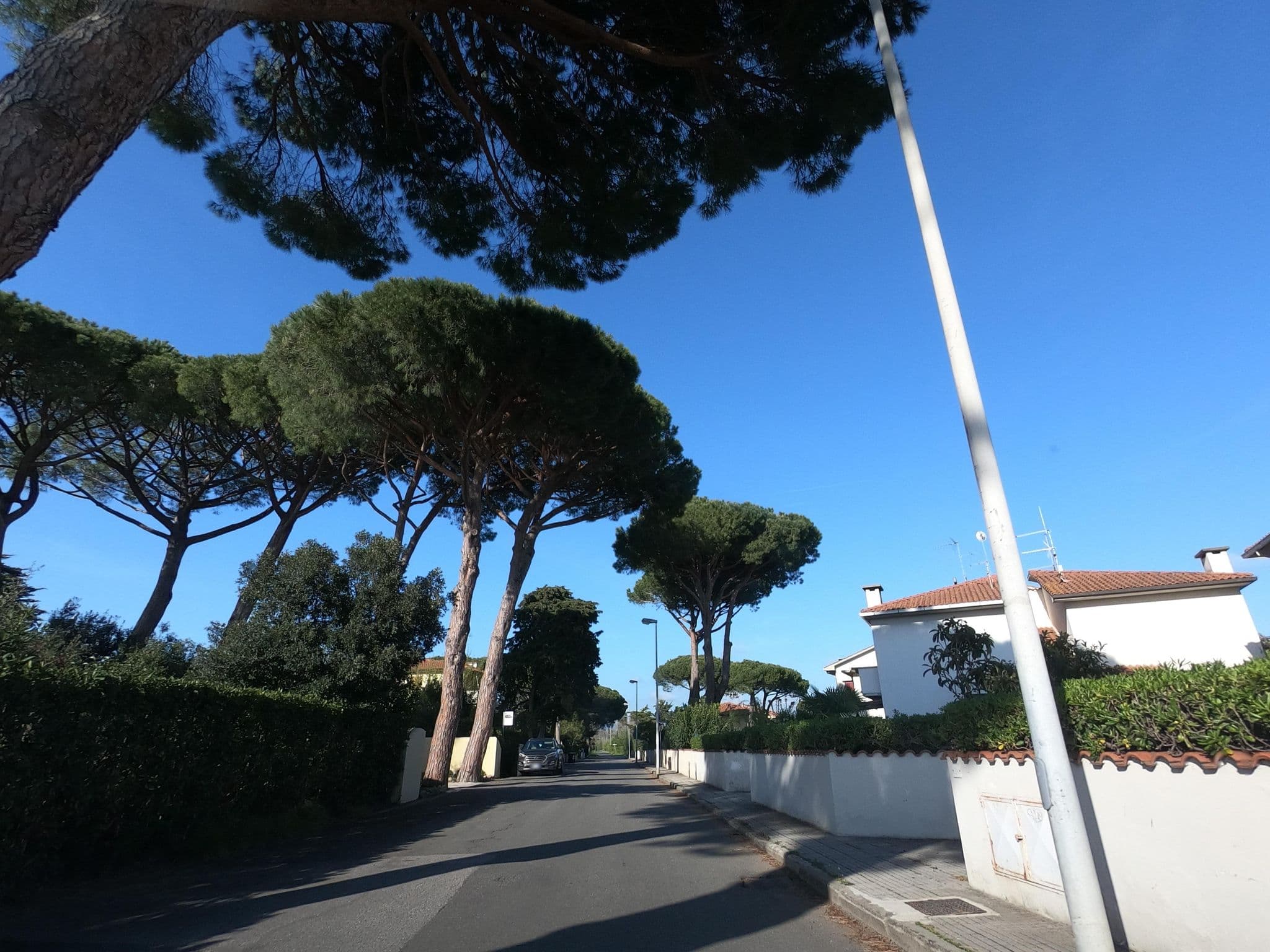 Street view near Villa Mazzanta, S.P. in Palazzi — © momix (CC BY-SA · Mapillary)