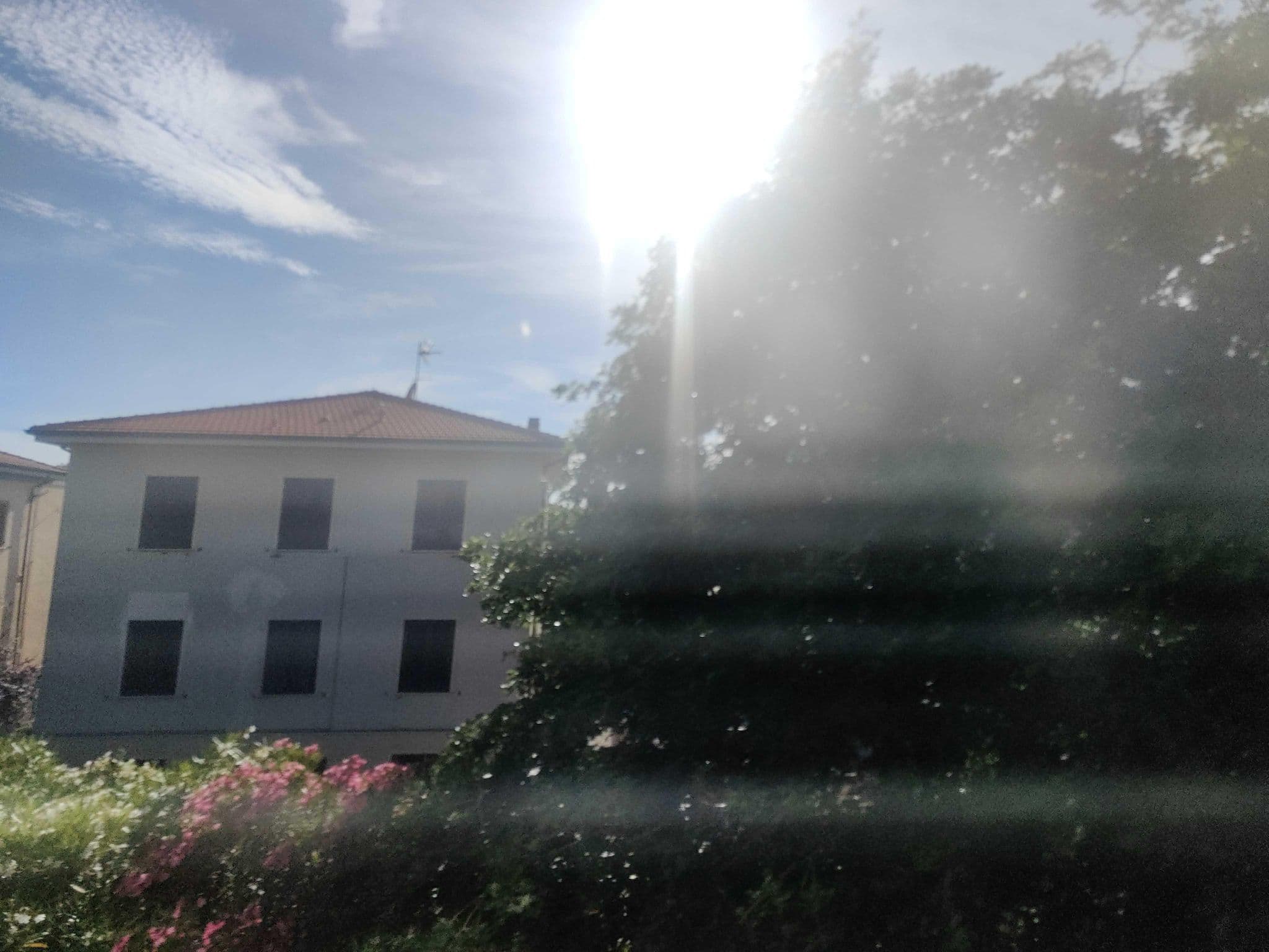 Street view near b&b santa costanza, San Vincenzo — © omfg_notpr (CC BY-SA · Mapillary)
