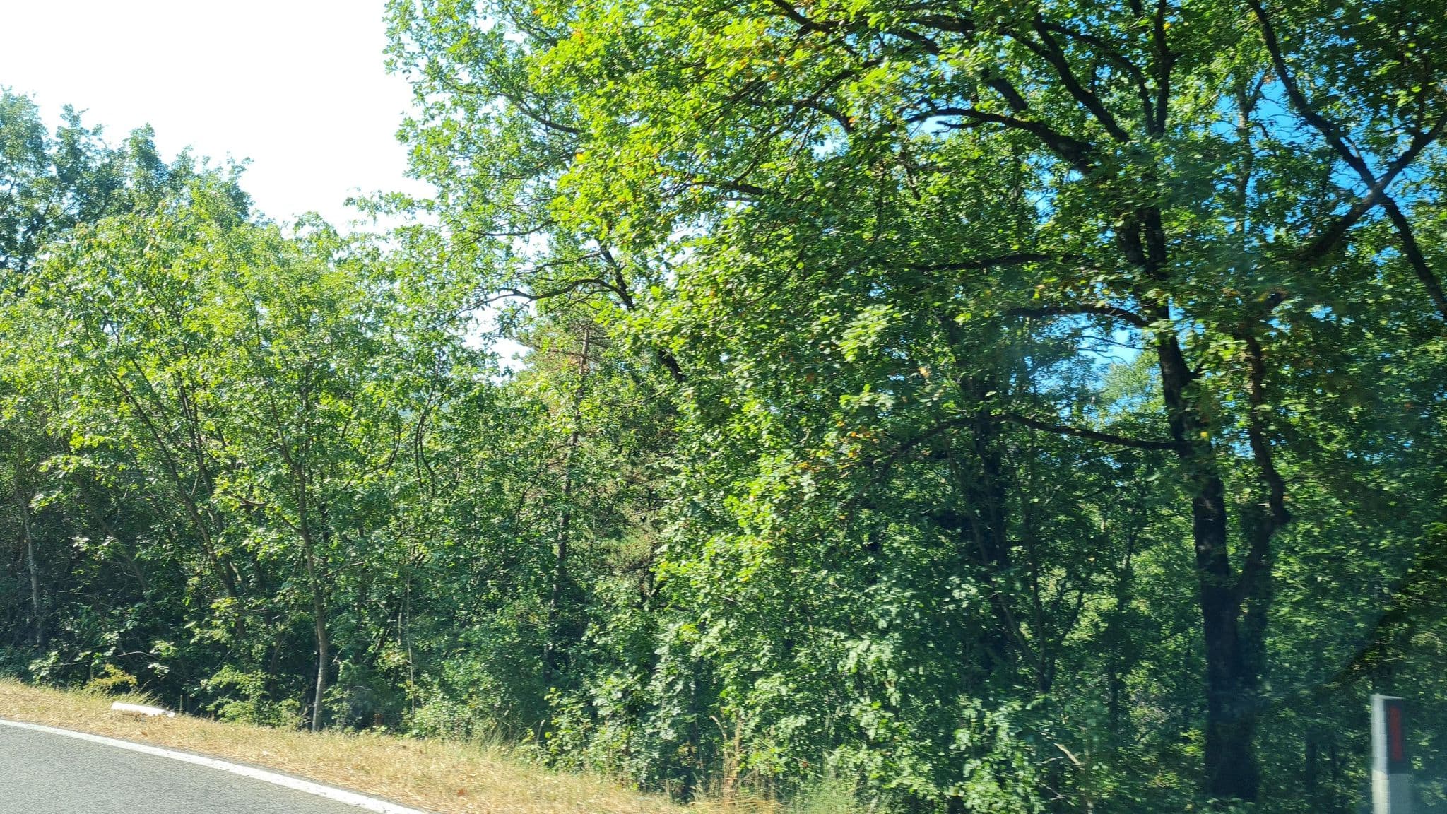 Street view near Agriturismo I Poderi, Chianciano Terme — © laniuscollurio (CC BY-SA · Mapillary)