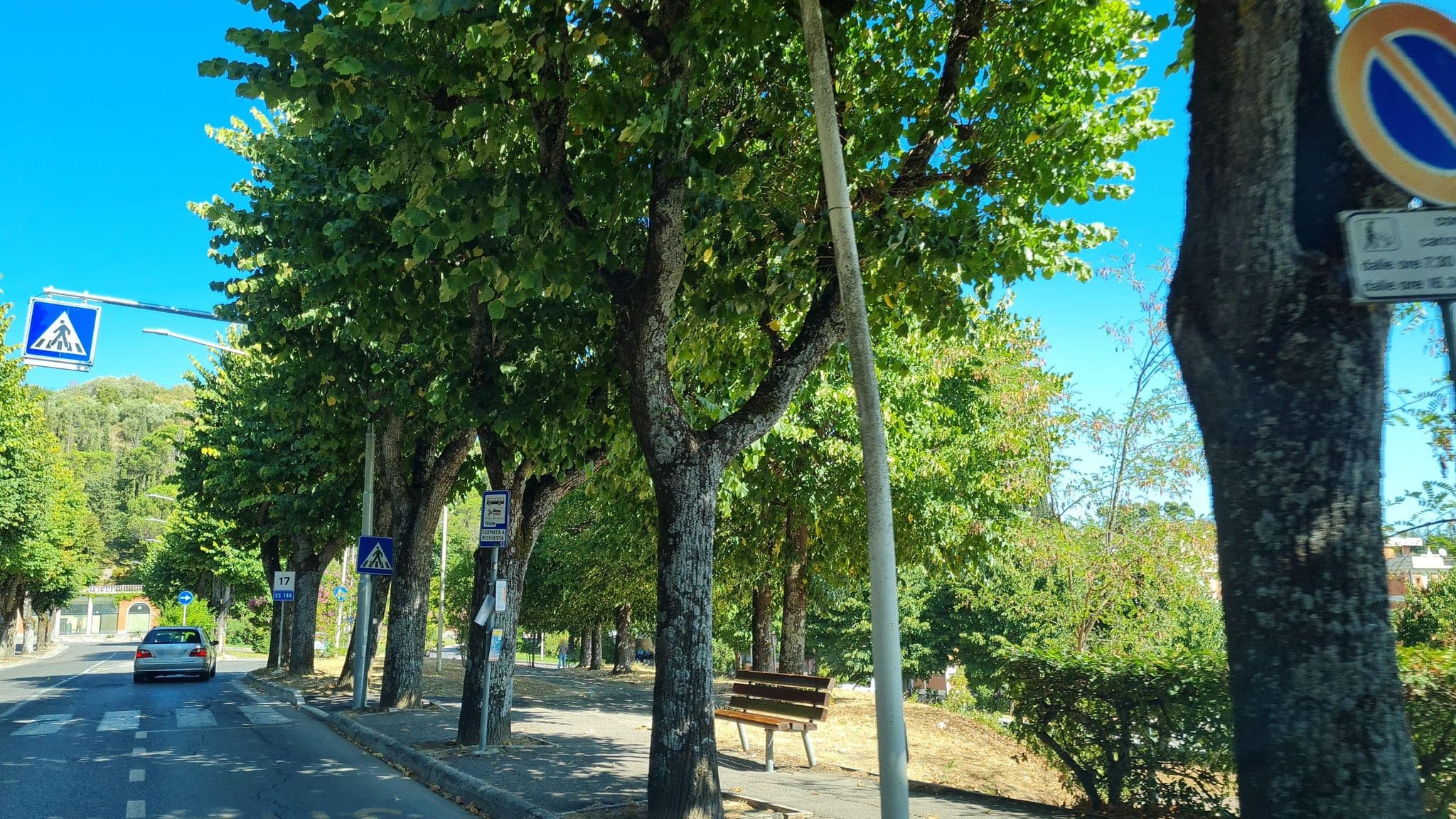 Street view near Your Space Boutique, Chianciano Terme — © laniuscollurio (CC BY-SA · Mapillary)