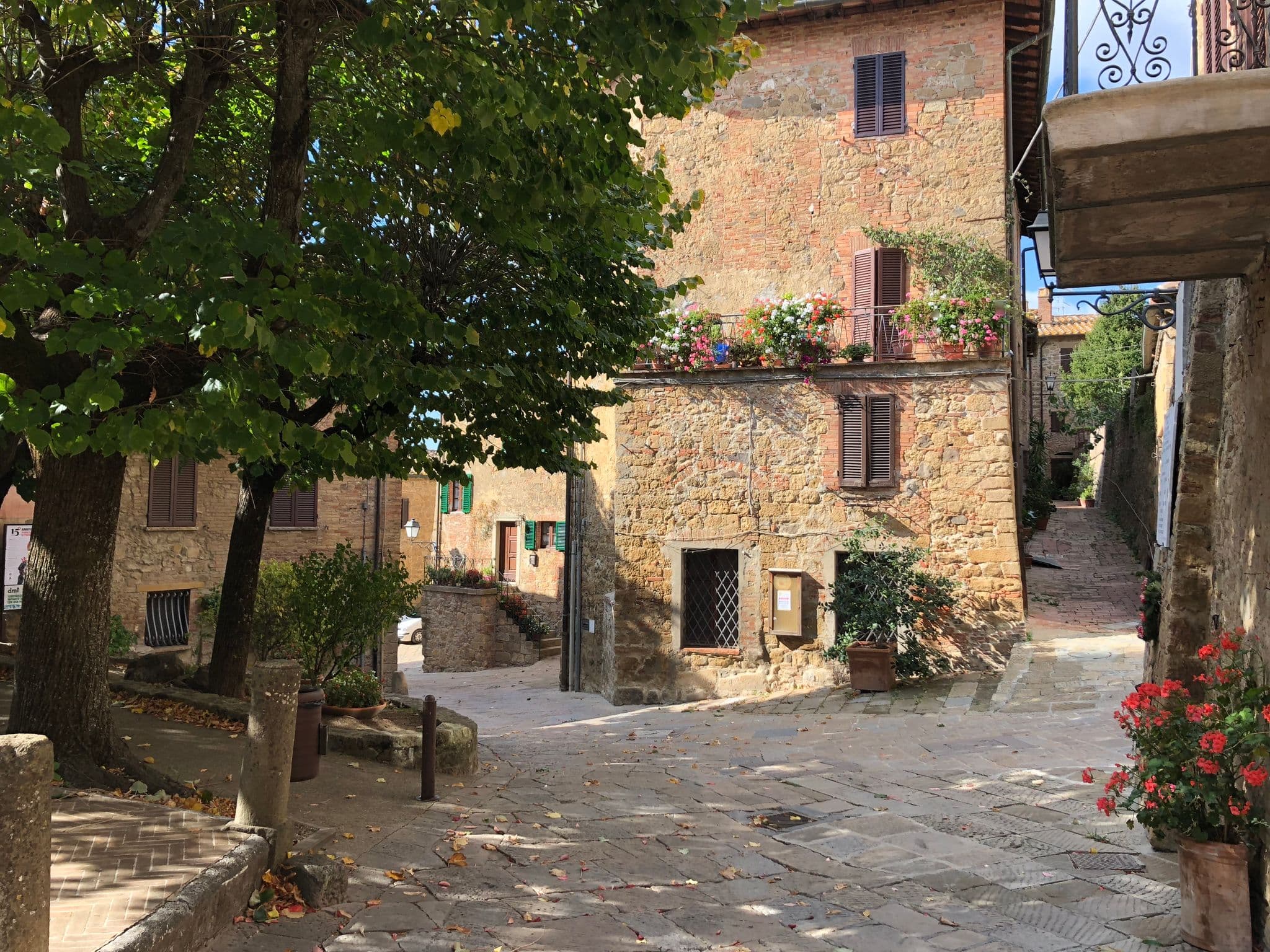 Street view near Agriturismo Torre Tarugi, Pienza — © adirricor (CC BY-SA · Mapillary)