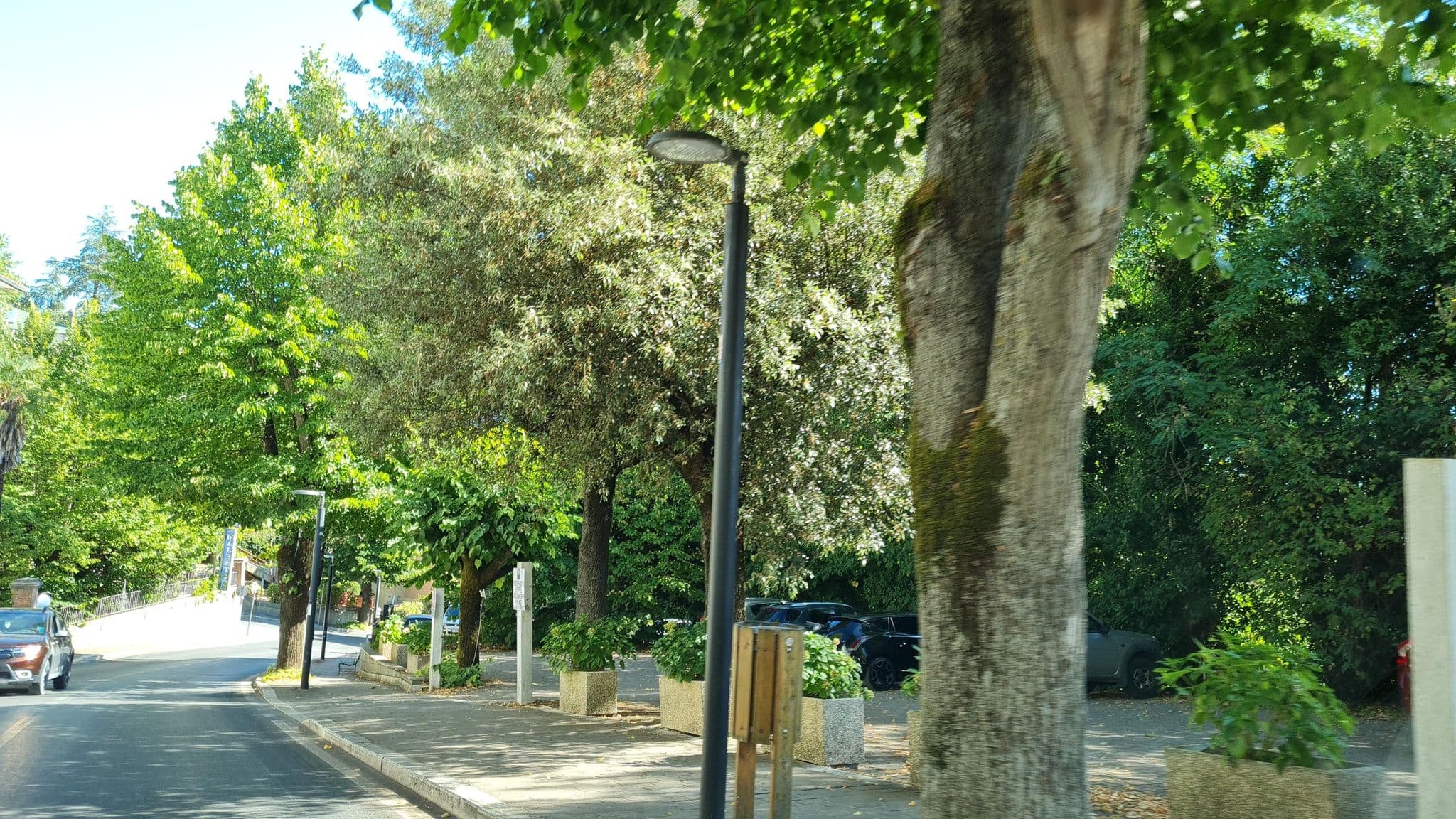 Street view near Alexander Palme di Mormone Leopoldo & C. SAS, Chianciano Terme — © laniuscollurio (CC BY-SA · Mapillary)