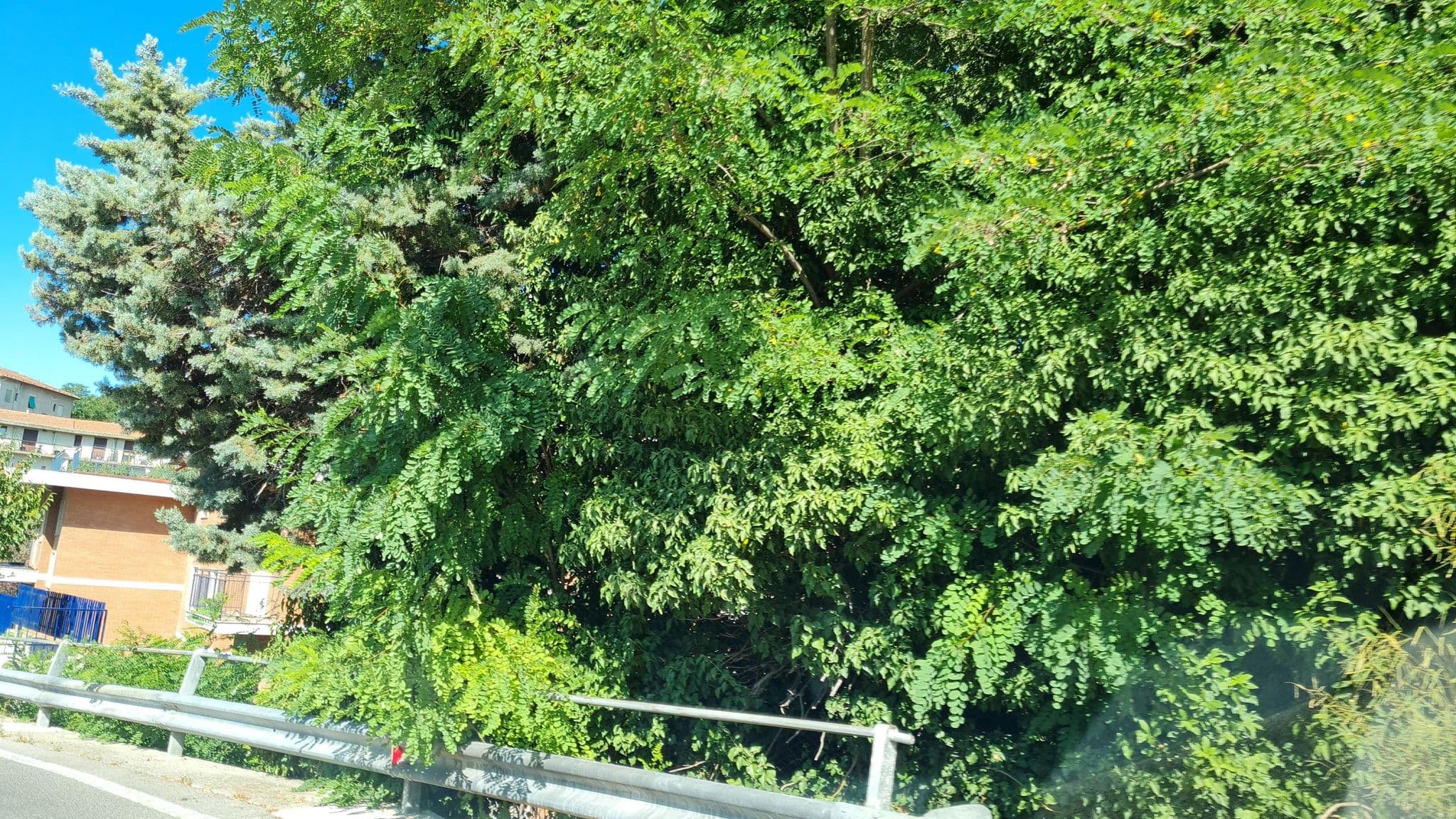 Street view near Villa Nella, Chianciano Terme — © laniuscollurio (CC BY-SA · Mapillary)