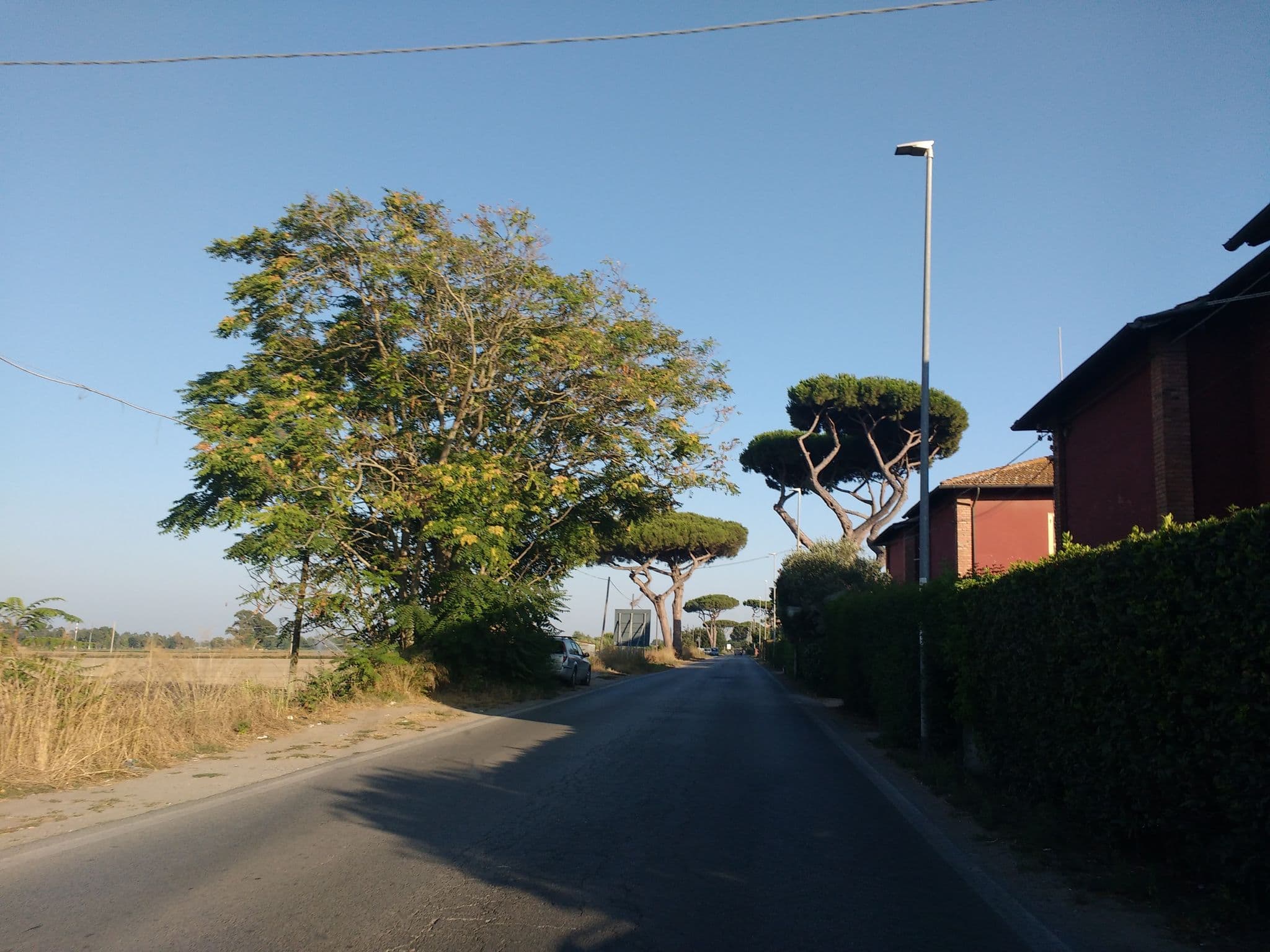 Street view near Lofts, Apartments and Suites, Fregene — © thetornado76 (CC BY-SA · Mapillary)